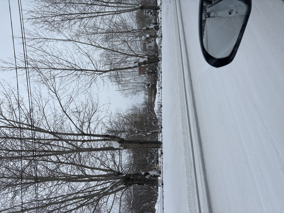 A snowy street scene unfolds from the perspective of a vehicle. Fresh snow covers the road, marked by tire tracks. Bare trees line the left, their branches coated in snow. A few houses can be seen between the trees in the distance. A car's side mirror is visible in the upper right corner, reflecting the snowy scene. Powerlines stretch across the sky above the trees.
