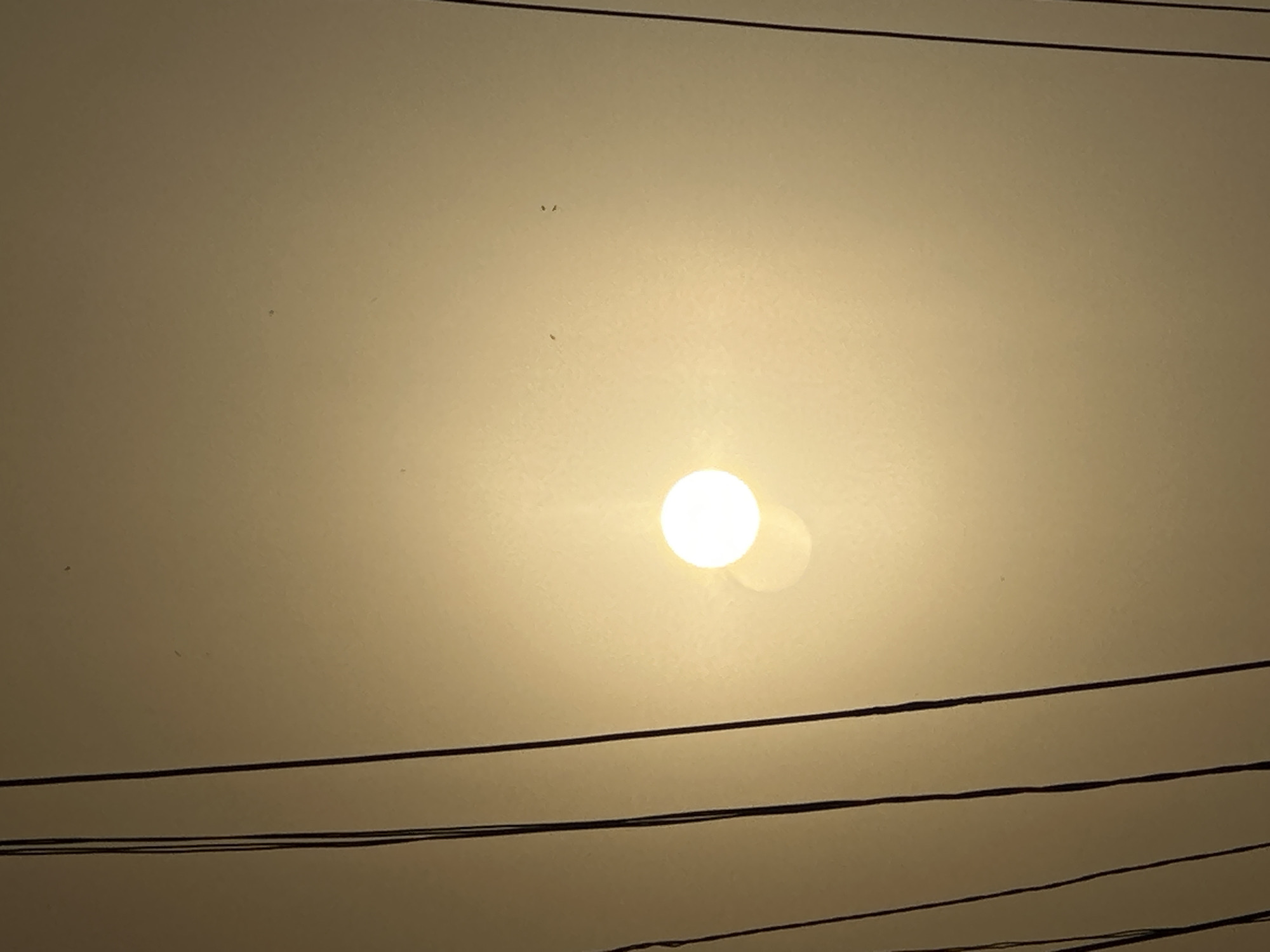 The image shows a pale, hazy sky with a bright, round sun at the center. Several dark power lines or cables are visible in the foreground, running horizontally across the frame. There are also some small, dark specks scattered across the sky, likely dust or small birds. The overall scene suggests a hazy or polluted atmosphere. The location is Unknown, Unknown.