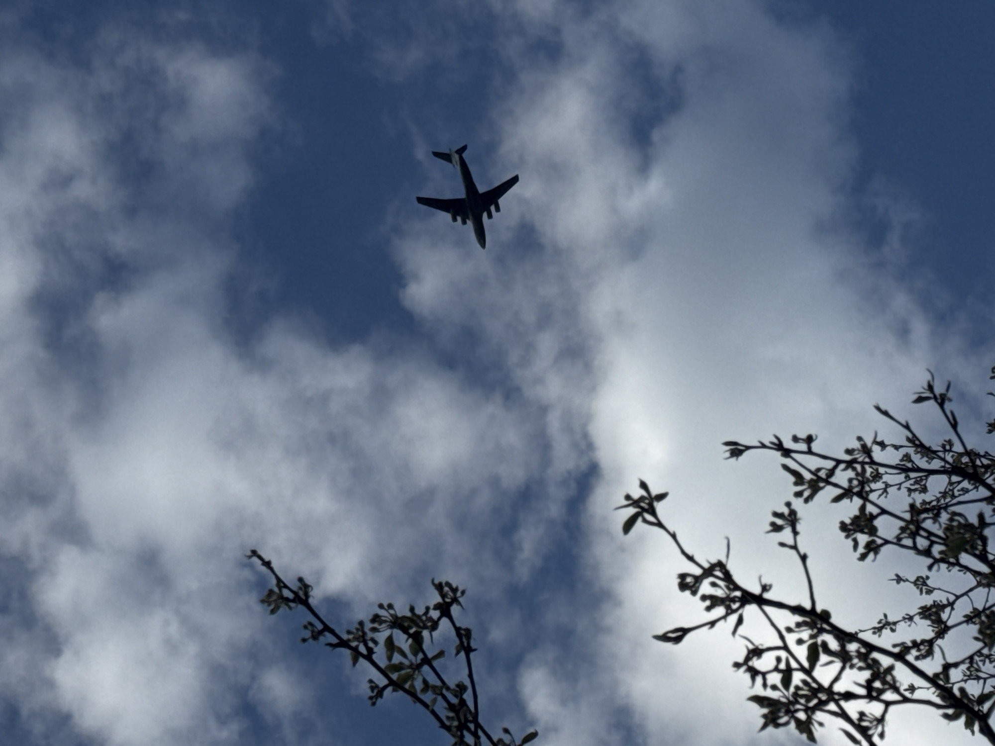 The image displays a low-angle view of a dark silhouette of an airplane flying against a partly cloudy sky. The aircraft, which appears to be a large, possibly four-engine plane, is positioned slightly above the center of the frame, heading upwards and to the right. Its distinct shape, including the wings, fuselage, and tail, is clearly outlined against the bright sky.
The sky exhibits a mix of light blue and white cumulus clouds, with brighter areas indicating the presence of strong daylight. In the foreground, along the bottom and right edges of the frame, are dark, silhouetted branches of a tree. These branches feature small leaves or buds, suggesting early spring or late winter. The branches are out of focus, emphasizing the plane as the central subject. The overall lighting creates a high-contrast scene, with the subjects appearing as dark forms against the bright sky, indicating the sun is likely behind them or directly overhead. No visible text is present in the image. The scene is set in Rostov-on-Don, Russia.