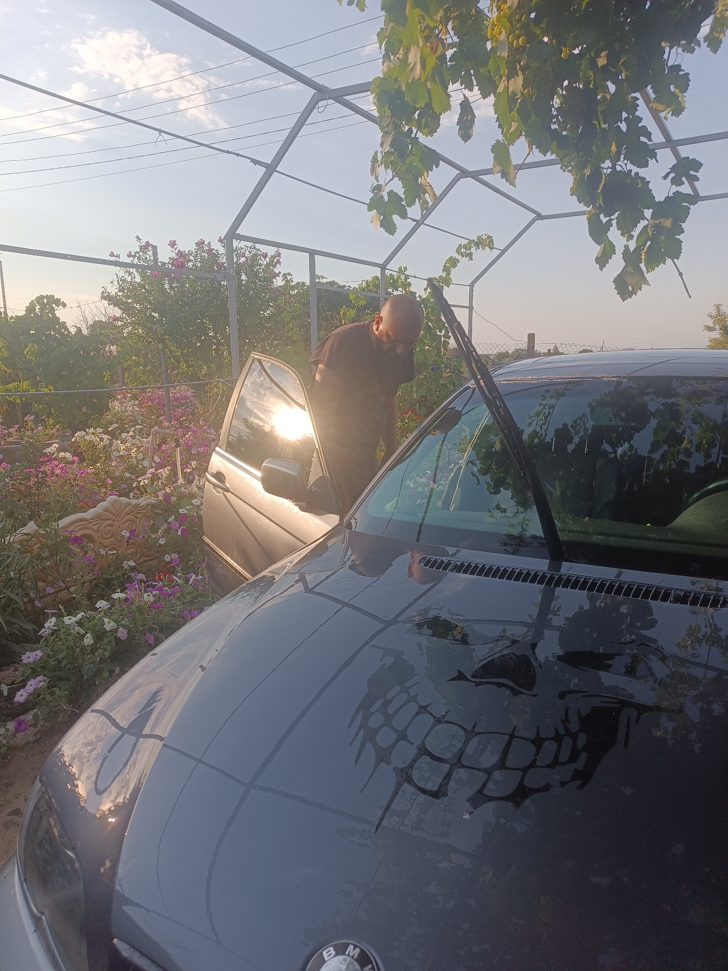 An outdoor scene in the city of Vypasne, Ukraine, shows a man with a shaved head and beard, wearing a dark t-shirt, working on a dark gray car. The car is parked in front of a garden with a variety of flowers, including pink and white petunias, and lush green foliage. A metal structure, possibly a canopy or trellis, is visible above the car and garden. Grapevines with green grapes hang from the structure. The sun is setting, casting a warm glow and reflecting on the car's windshield and hood. A skull-like reflection or decal is visible on the hood of the car. The man appears to be cleaning the car's windshield with a wiper.