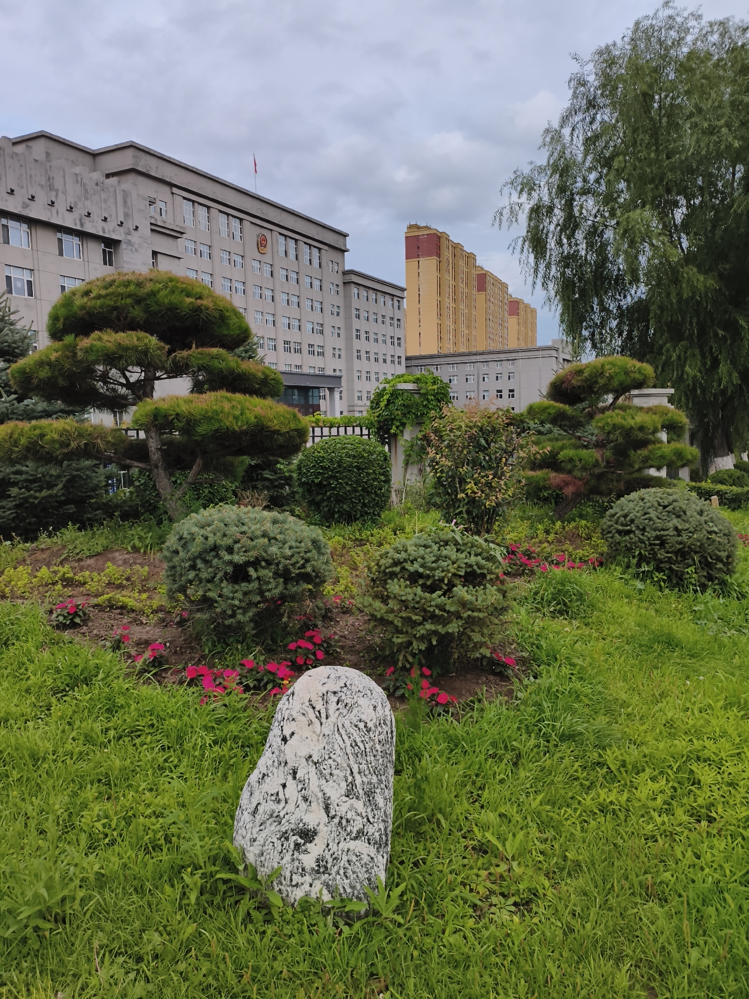 In Jiguan District, China, the image depicts a public area featuring manicured landscaping in front of modern buildings. The foreground is dominated by lush green grass, with a prominent, irregularly shaped white rock with dark gray markings placed centrally. Behind the rock, a garden bed displays a variety of neatly trimmed bushes and small trees, including several spherical topiaries and a tiered, sculpted pine tree. Small pink flowers are interspersed throughout the garden. A tall, leafy green tree extends from the right side of the frame, its branches partially obscuring the background. In the middle ground, a dark metal fence separates the garden from the buildings. The background reveals a long, gray, multi-story building with numerous windows, adorned with a circular emblem and a red flag on its roof. To the right of this building, a series of taller, yellow buildings with red trim are visible, also featuring many windows. The sky is overcast with gray clouds. The scene appears to be a well-maintained urban landscape, possibly a government or administrative complex. No people are present in the image.
