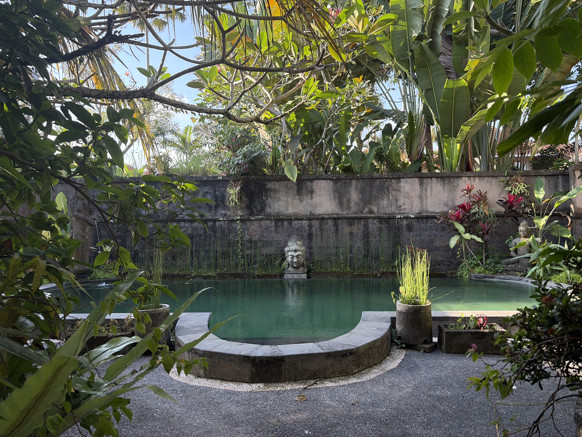 The image shows a serene outdoor swimming pool area, possibly a resort or private villa, in Ubud, Bali, Indonesia. The pool's water is a vibrant turquoise and is surrounded by lush tropical greenery. A stone wall forms the backdrop of the pool, and on this wall, a serene stone Buddha statue sits in contemplation. In the center of the pool, a stone statue of a face, possibly of a deity or mythical figure, is submerged, adding to the tranquil and spiritual atmosphere. The pool area is paved with dark gravel, and several stone planters with various plants are strategically placed around it. Sunlight filters through the dense foliage, casting dappled shadows and highlighting the textures of the stone and plants. The overall scene evokes a sense of peace and natural beauty.