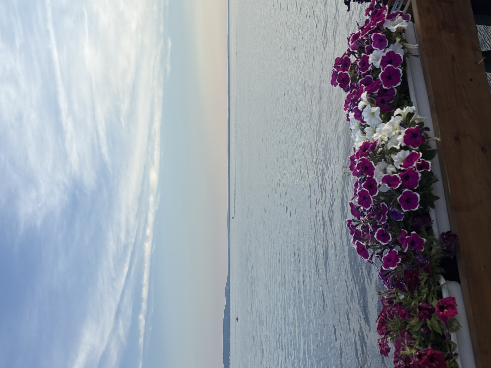The image depicts a serene waterfront scene with a clear blue sky and calm water. In the foreground, a wooden railing supports white planters filled with vibrant purple and white petunias. The water stretches out to a distant horizon, with a faint, hilly shoreline visible in the far distance. Two small boats can be seen on the water, one closer and one further away. The overall impression is one of tranquility and natural beauty. The location is the embankment of the Kuybyshev Reservoir in Tolyatti, Russia, a popular spot for leisure and recreation.
