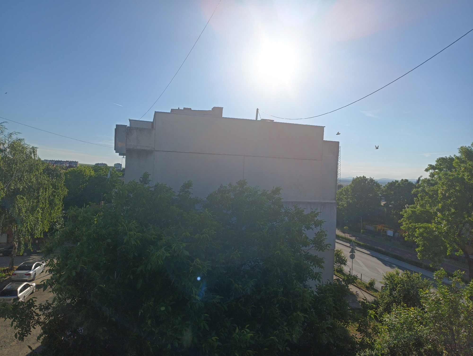 This image captures a view from an elevated position, looking across rooftops and trees towards a sunny sky. In the foreground, dense green foliage partially obscures the lower portion of the frame. A light-colored, multi-story building dominates the mid-ground, with a modern, angular design. The building appears to be made of concrete or a similar material. Two cars, a silver sedan and a silver SUV, are parked on a paved surface to the left of the building, adjacent to a tree with cascading branches. A paved road with a sidewalk is visible to the right of the building, bordered by more trees and some urban infrastructure, including streetlights and signs. The sky is bright blue, with the sun positioned high and center, causing lens flare and overexposure in the upper portion of the image. Several power lines crisscross the sky, and two birds are in flight. In the distance, more buildings and trees are visible, suggesting an urban or semi-urban environment. The scene is illuminated by bright daylight, indicating it was taken on a clear day. The overall impression is one of a residential or commercial area within a city.