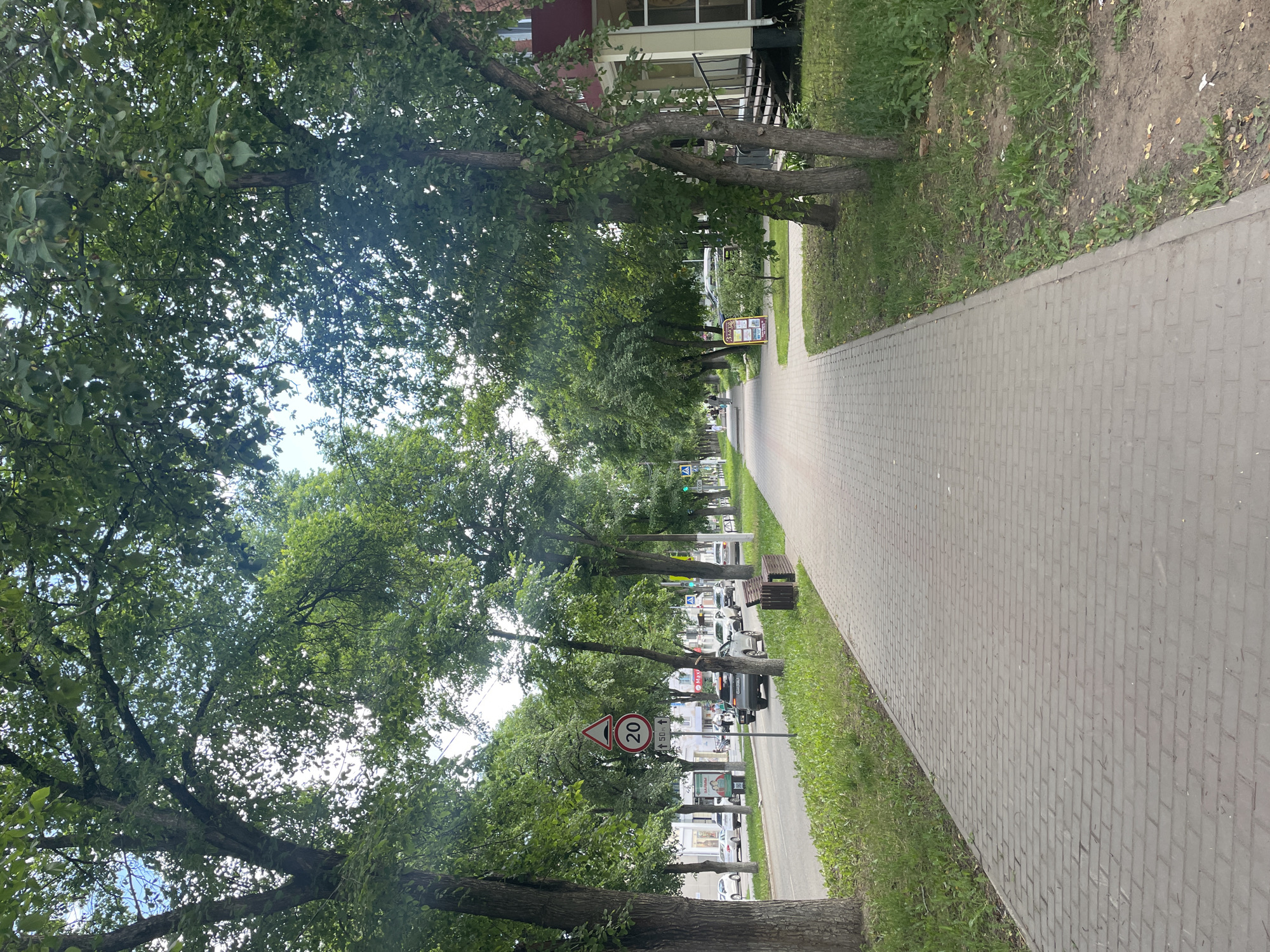 The image depicts a tree-lined sidewalk adjacent to a street in Chaikovsky, Russia. The sidewalk is paved with grey rectangular bricks. On the left side of the sidewalk, a road with several cars is visible. A speed limit sign indicating 20 km/h is prominently displayed. Green grass and trees with full foliage line the street and sidewalk. On the right side of the sidewalk, part of a building with a red roof and yellow facade is visible, along with a set of stairs leading to an entrance. Further down the sidewalk, a sign with Russian text is placed on the ground. The sky is partially visible through the dense canopy of leaves. The overall scene suggests a typical urban environment during daylight hours.