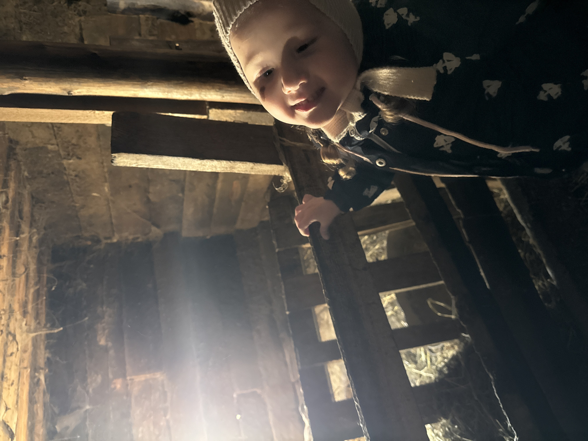 A low-angle shot shows a young girl with a light complexion and a knit hat, partially visible, looking down from a wooden structure. She is wearing a dark patterned coat with light-colored trim. She is holding onto a vertical beam of the wooden structure, which appears to be a ladder or scaffolding. The structure is made of rough-hewn wooden planks and beams, with gaps and openings revealing a dark, possibly dusty, interior. Bright light emanates from the lower left, illuminating the wooden structure. No identifiable features indicate the location is Кипчак, Russia.
