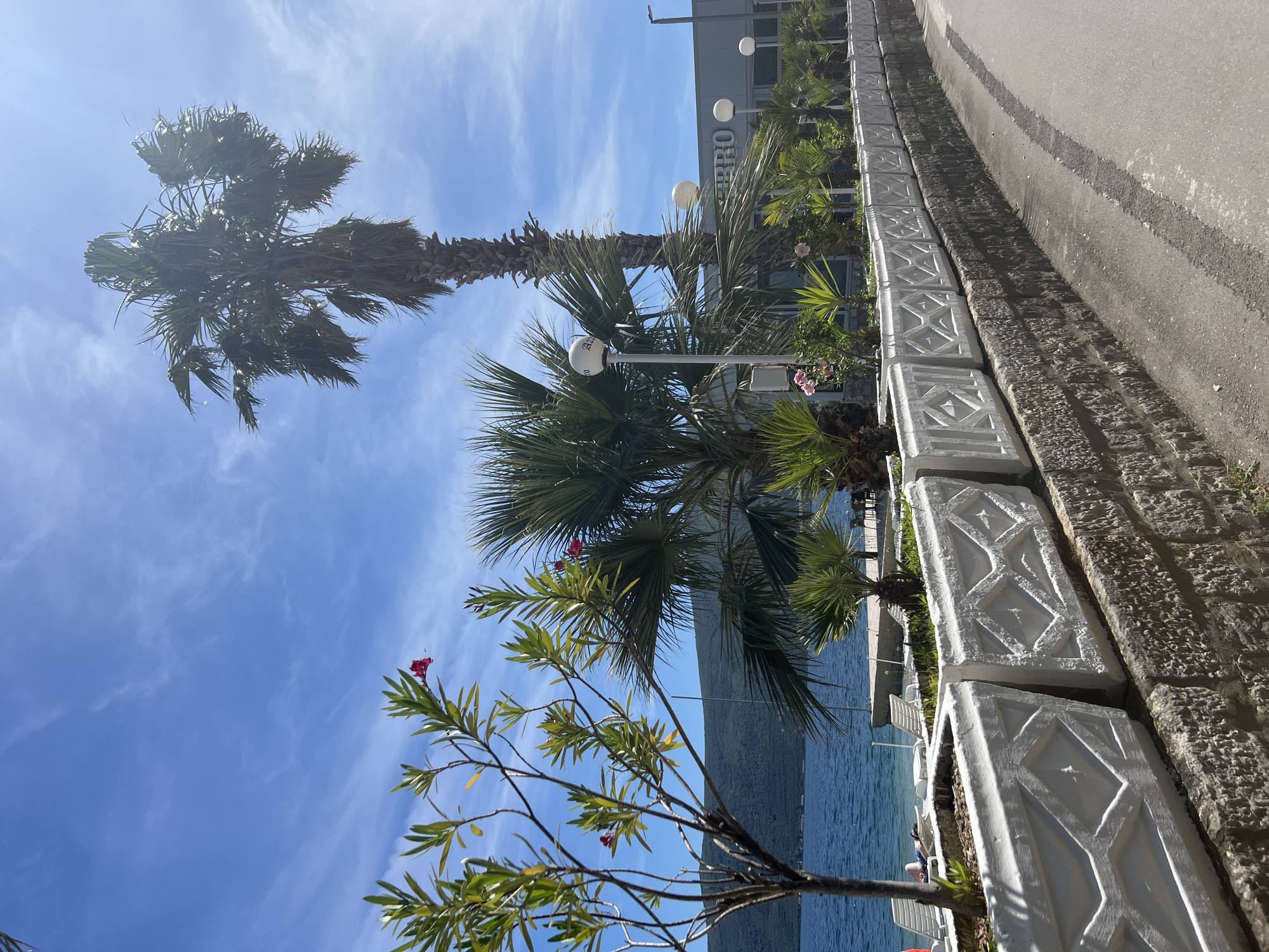 The image depicts a waterfront scene in Bijela, Montenegro. A row of white, patterned planters lines a walkway, interspersed with palm trees and other greenery. Beyond the planters, a body of water extends toward a distant mountain range under a blue sky with wispy clouds. In the background, a building is visible. The camera angle is slightly tilted.