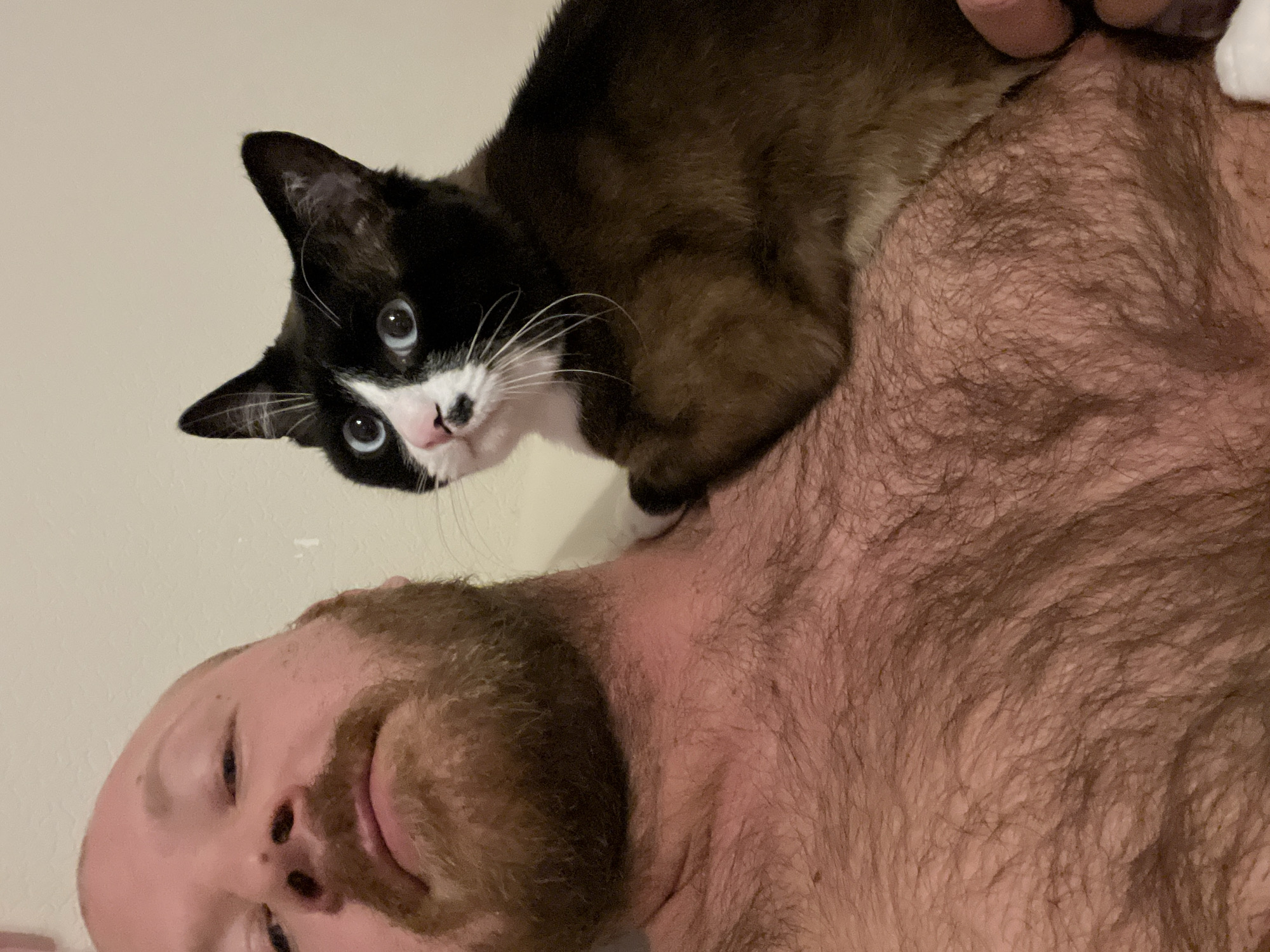 A selfie-style image features a man and a cat. The man, partially visible from the nose down, has fair skin, a beard, and a slight smile. The cat is positioned on the man's chest, its front paws resting on him. The cat has a black and brown coat, a white patch on its face, and blue eyes. The man's chest is exposed and covered in hair. The background is a plain, light-colored wall. No location is identifiable in the image.
