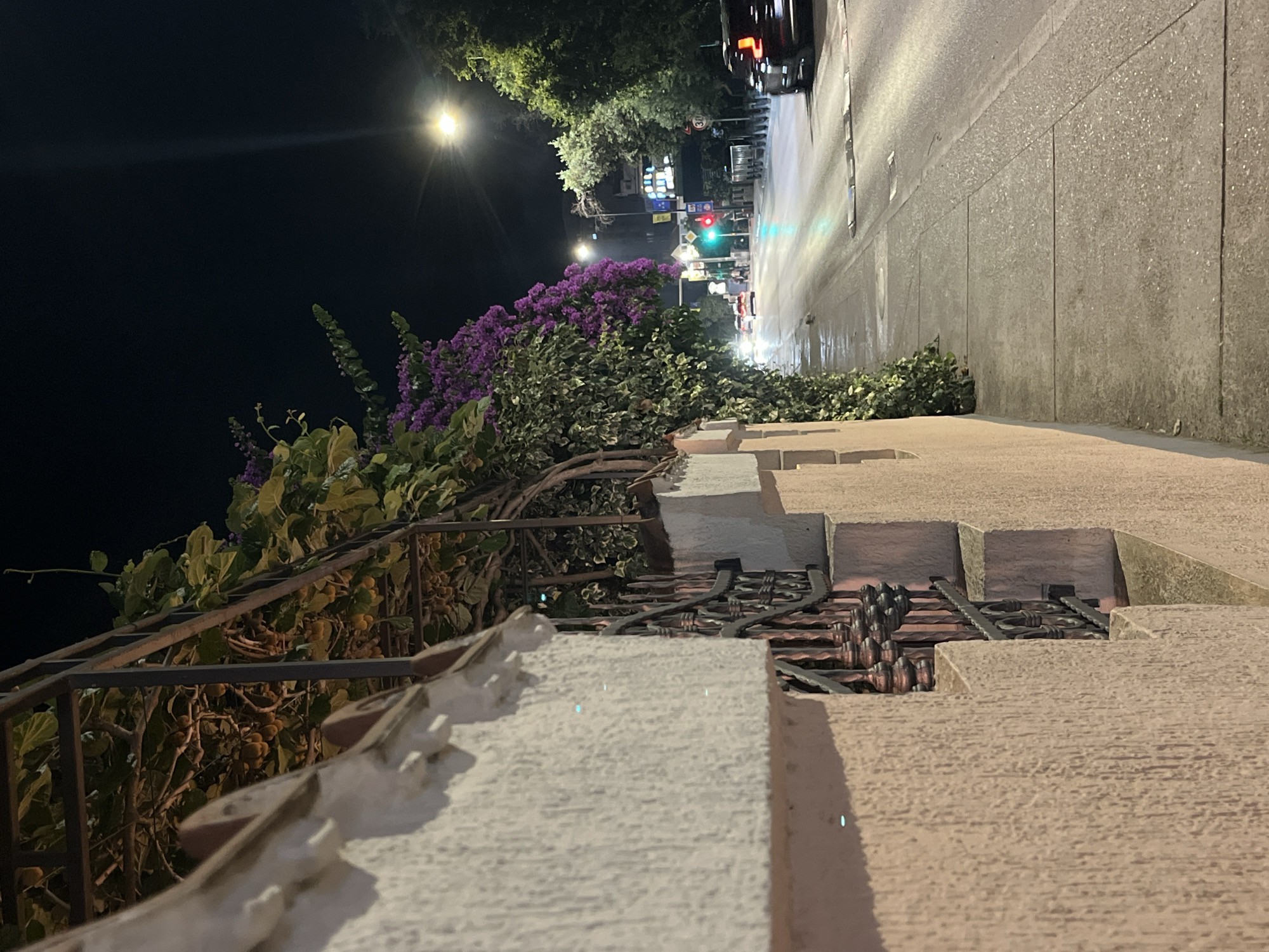 The image captures a nighttime scene on a street in Budva, Montenegro. In the foreground, a textured, light pink wall with decorative scalloped edges and an ornate black metal fence are visible. Above the fence, lush green foliage and clusters of vibrant purple flowers spill over a dark metal trellis. The scene opens up to a wet asphalt road with a sidewalk. Streetlights illuminate the road, reflecting off its damp surface. Several vehicles are present, including a black car on the right and other cars in the distance, their headlights and taillights creating streaks of light. Traffic signals show a green light. Trees line the right side of the road. The overall atmosphere is nocturnal and urban, with the wet pavement suggesting recent rain.