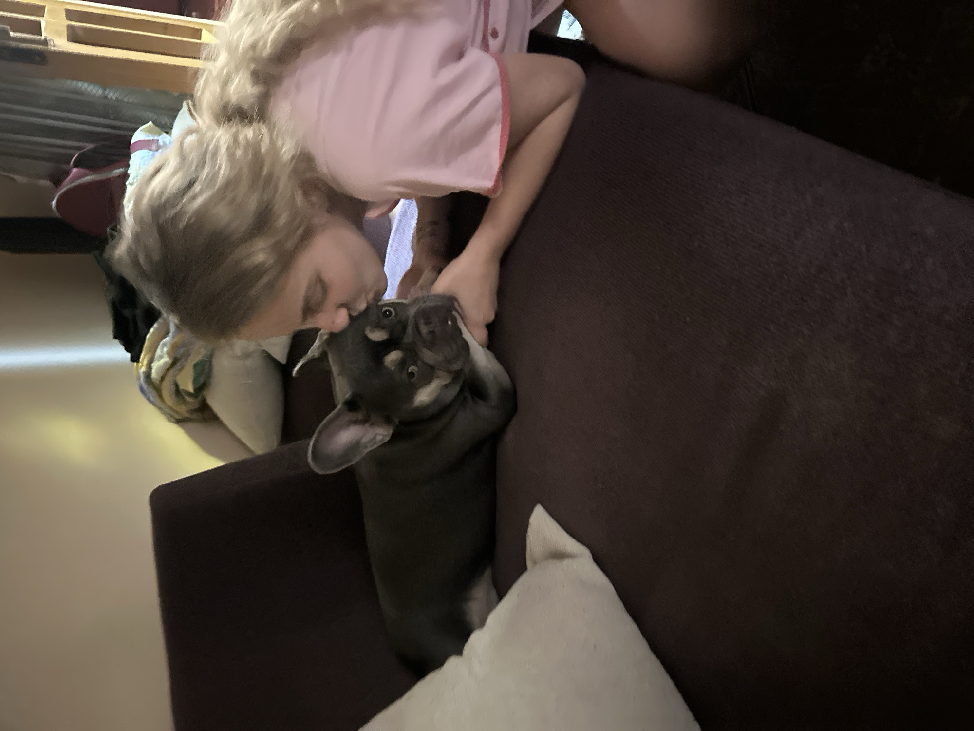 A woman with blonde hair, wearing a pink pajama top, is kneeling on a dark brown sofa and kissing a blue/grey French bulldog on the nose. The dog is standing on the sofa next to a white pillow. The location is Unknown, Unknown. A shelf with items is visible in the background.