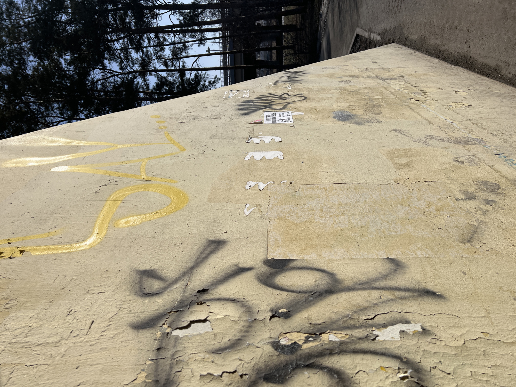 The image displays a weathered concrete retaining wall or bridge abutment located in Tyumen, Russia, under direct sunlight. The wall is coated in a light yellow-beige paint, which is extensively peeling and cracking, particularly on the left side and lower sections. Multiple layers of graffiti are visible: prominent golden-yellow spray paint forms partially discernible letters, appearing to be "SAL...", on the upper left. Additionally, black or dark grey spray paint markings, consistent with tags, are present across the wall, some faded or obscured by peeling paint. Several small, torn white paper remnants are adhered to the surface. One white flyer, positioned centrally on the right, displays the Cyrillic text "ЭЛЕКТРО- ВЕЛОСИПЕДЫ" (ELECTRIC BICYCLES), a phone number, and a QR code icon. Adjacent to the wall on the right, a dirt or gravel path is visible. Beyond the path, a dense grouping of tall, dark-trunked pine trees stands against a clear blue sky. In the far background, an elevated concrete bridge structure, complete with railings and streetlights, is visible through the tree line. No individuals are present in the scene.