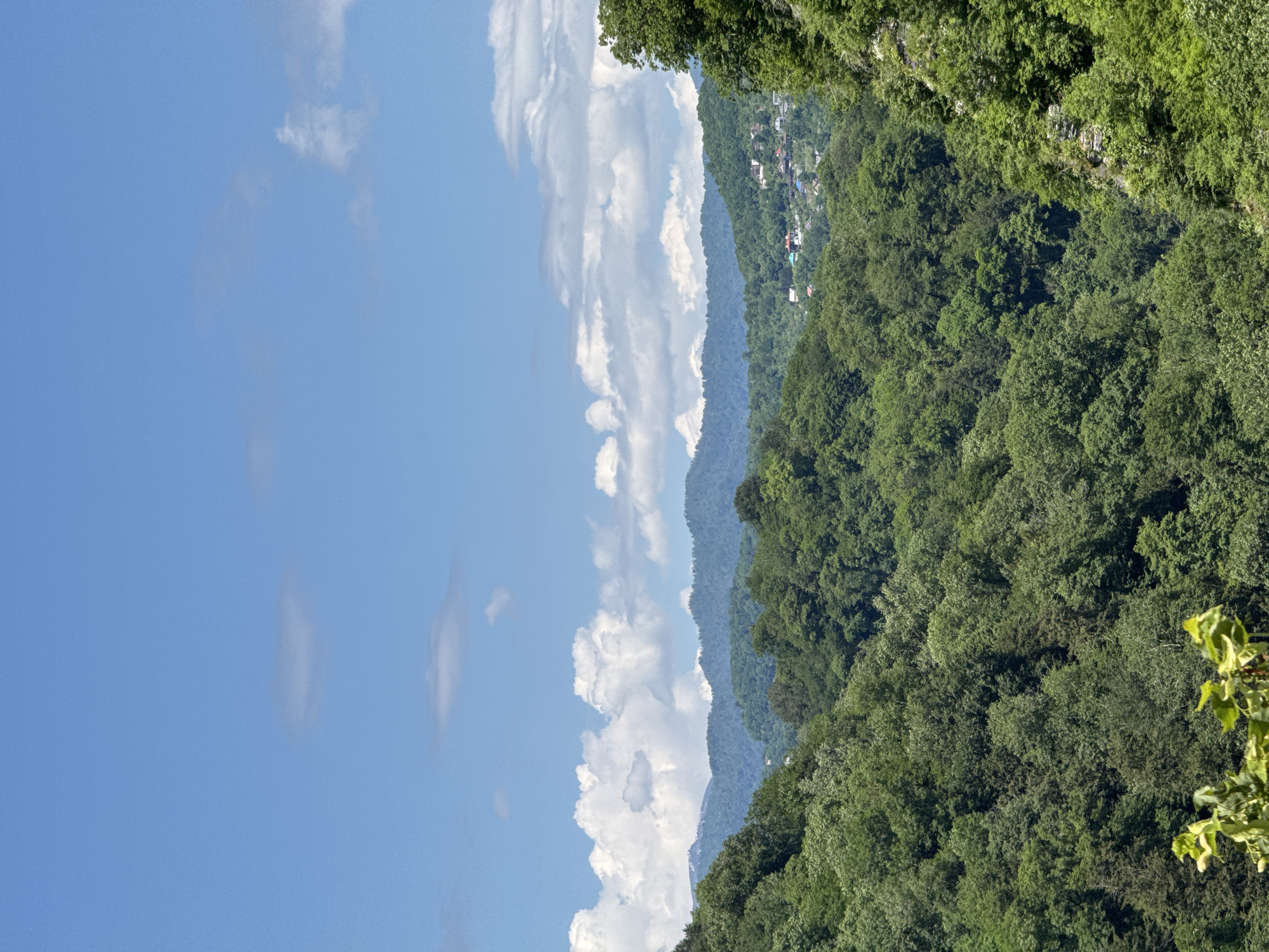 This landscape photograph, taken in Khleborob, Russia, captures a vast panoramic view of forested hills under a bright blue sky. The scene is dominated by layers of lush green mountains stretching into the distance, suggesting a temperate or subtropical environment during a warm season.
In the foreground and midground, dense, vibrant green foliage covers the rolling terrain, with individual trees and their textures clearly visible. The hills gradually recede, becoming lighter in tone and appearing hazy blue due to atmospheric perspective, indicating significant depth in the landscape.
The sky occupies the upper portion of the image, a clear, brilliant blue punctuated by scattered, fluffy white cumulus clouds. The illumination suggests it is daytime, likely mid-morning or early afternoon, with ample sunlight.
A notable detail is a small settlement or village visible on one of the mid-distance hills, featuring a cluster of houses with colorful roofs nestled among the trees. This indicates human presence within the natural, verdant environment. A few out-of-focus green leaves and branches appear in the extreme right foreground, suggesting the photo was taken from an elevated vantage point, possibly from within a tree-covered area or a hillside overlook.
There is no specific activity or event taking place; the image captures a serene and expansive natural landscape. No visible text is present in the photograph.