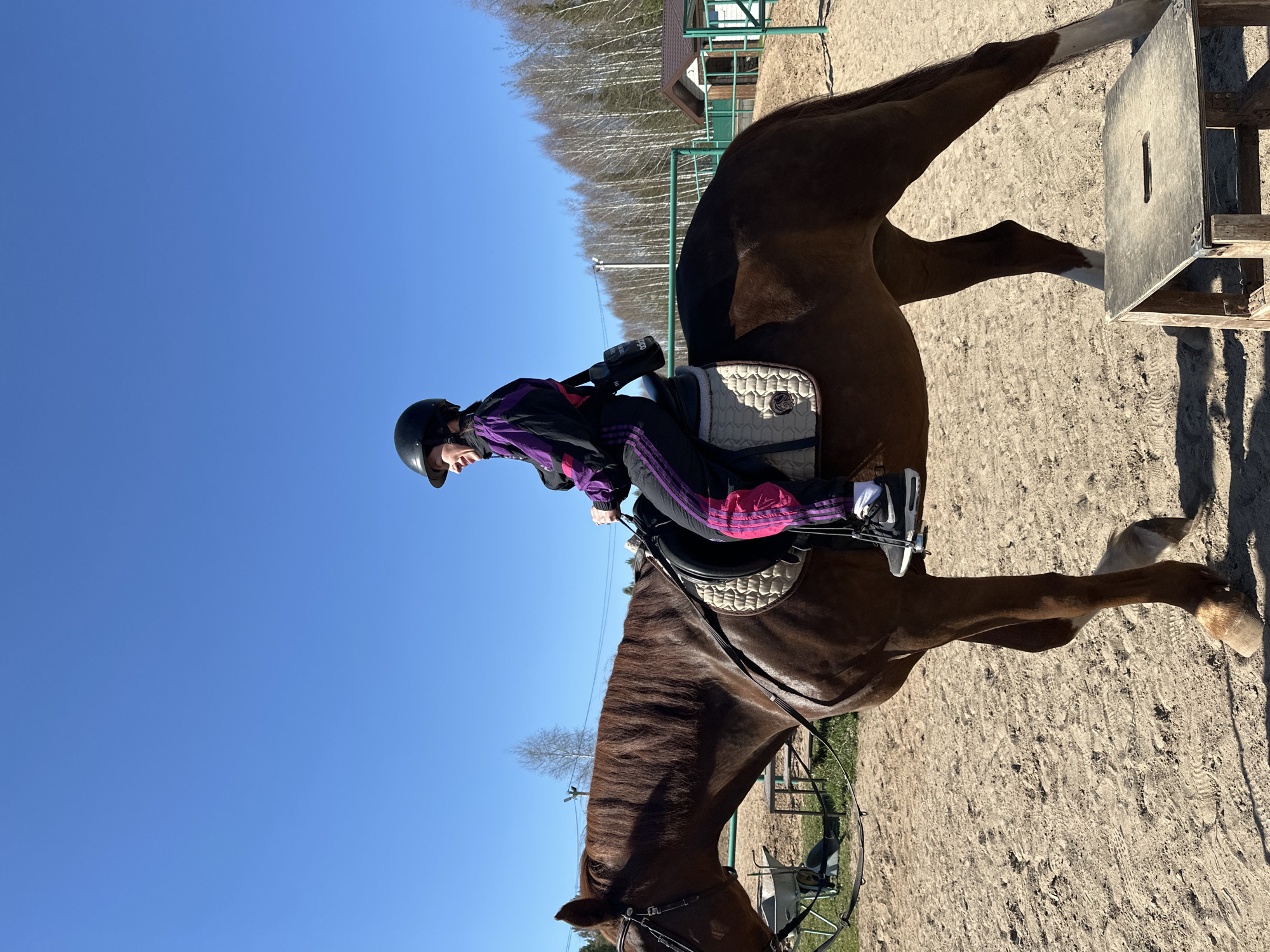A woman wearing a black helmet, black and purple jacket, and pink and black pants rides a brown horse in a sandy arena. The horse is standing near a small platform. The sky is blue and trees are visible in the background. The location could not be determined in the city of Русский Вожой, Russia.