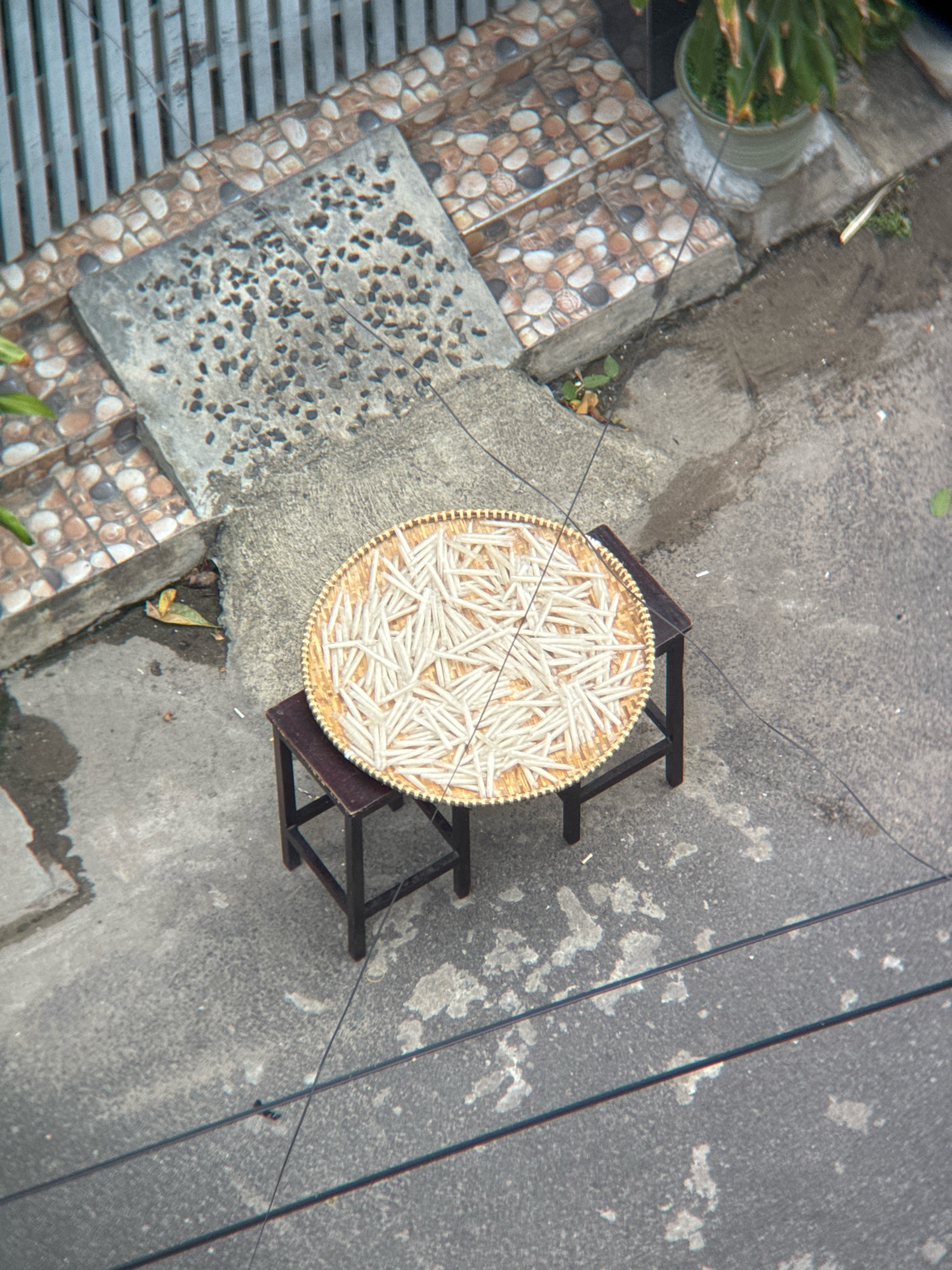 An overhead view captures a circular woven tray filled with numerous small, light-colored, cylindrical objects, likely incense sticks or noodles, placed on a dark wooden stool. The stool rests on a textured gray concrete surface. To the left, a set of steps is visible, clad in mosaic tiles of various shades of brown and beige. The steps are bordered by a gray concrete ledge and a metal fence with vertical bars. A potted plant with green foliage sits on a concrete base to the right of the steps. The environment appears to be outdoors, possibly a residential area or street in Nha Trang, Vietnam, given the common use of woven trays for drying goods and the architectural style.