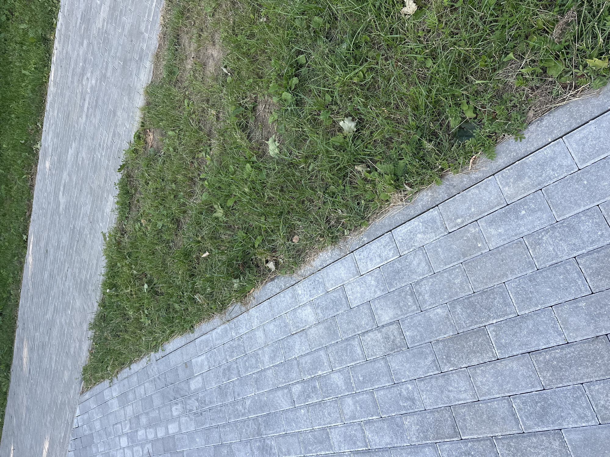 The image shows a close-up view of a paved walkway in a park or public space. The walkway is constructed with rectangular grey pavers arranged in a herringbone pattern. To the right of the walkway, there is a strip of green grass with some dried leaves scattered on the ground. The lighting suggests it is daytime, and there are no people visible in the frame. The scene is likely located in a temperate climate.