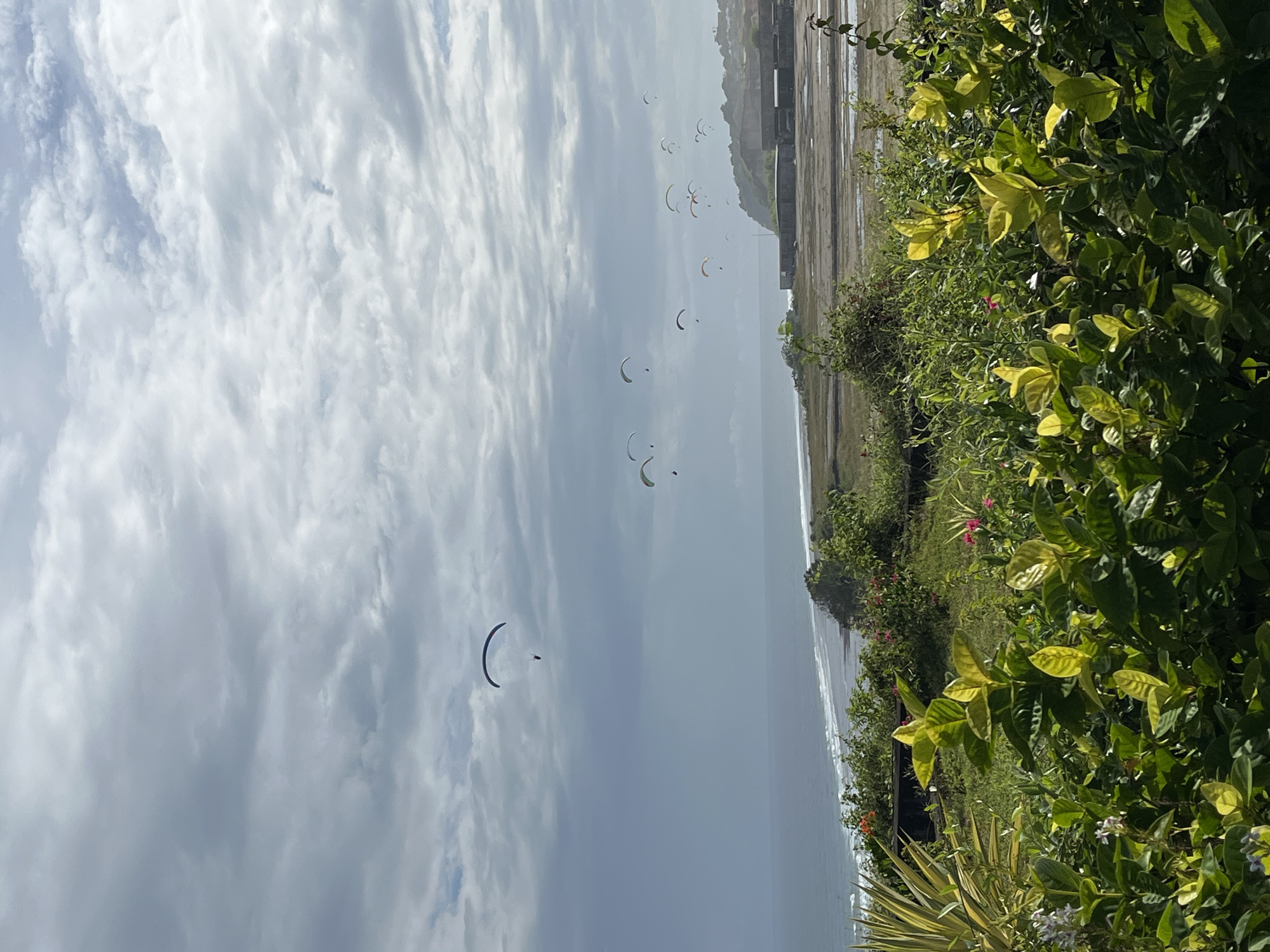 This image captures a vibrant coastal scene in Kuta Selatan, Indonesia, from an elevated vantage point, showcasing numerous paragliders soaring above the ocean. The sky, occupying the left and central parts of the frame, is partly cloudy with bright, diffused light, suggesting a daytime setting, likely mid-morning or early afternoon.
Spread across the expansive sky are approximately a dozen paragliders, some appearing as dark silhouettes against the clouds, while others show hints of color. They are engaged in paragliding or paramotoring activities, with some exhibiting the characteristic shape of powered paragliders.
Below the aerial display, the vast blue-grey expanse of the ocean meets a coastline on the right. A sandy or rocky beach is visible where waves gently break. Further along the coast, distant buildings or natural cliff formations are discernable under a slight atmospheric haze.
The immediate foreground on the right is dominated by lush, green and yellow-green tropical vegetation, including dense bushes and leafy plants, some with small pink and white flowers. This foliage indicates the viewpoint is from a vegetated area, possibly a garden or clifftop overlooking the sea. There is no visible text in the image.