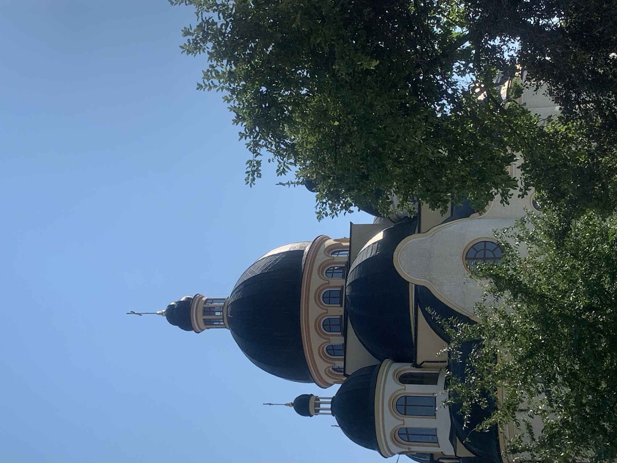 The image shows a close-up view of the Transfiguration Cathedral in Kolomyia, Ukraine, under a clear blue sky. The main dome, a prominent feature of the cathedral, is dark with a golden trim and is topped with a cross. Smaller domes are visible on either side, also dark with golden accents. Arched windows are present along the base of the main dome and on the smaller structures. Lush green trees partially obscure the lower sections of the cathedral, framing the scene with their foliage. The architectural style appears to be Orthodox Christian.