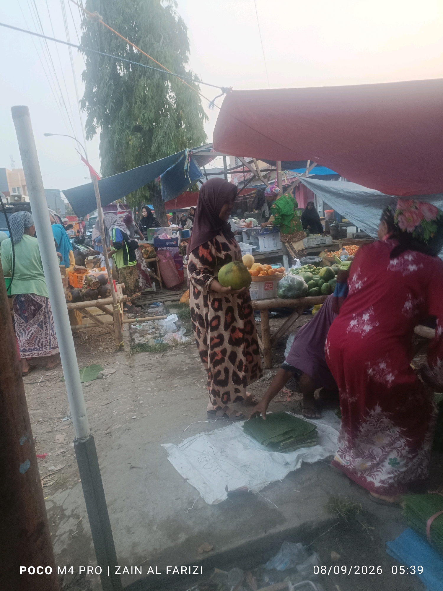 The image depicts an outdoor market scene in Arosbaya, Indonesia, with a focus on a group of individuals engaged in commerce. In the foreground, a woman wearing a leopard-print dress holds a light-green fruit, possibly a coconut or melon. To her right, another woman in a red floral dress is partially visible. A stack of large, green leaves is laid out on a white cloth on the ground in front of them. In the background, a variety of fruits and vegetables are displayed on wooden stands, including oranges and green, avocado-like fruits. Several people, mostly women in headscarves, are seen browsing and working at the stalls. The market appears to be covered by temporary tarpaulins, with a tall tree visible behind the stalls. The ground is dirt and gravel. The timestamp "08/09/2026 05:39" and the text "POCO M4 PRO | ZAIN AL FARIZI" are overlaid on the bottom of the image.