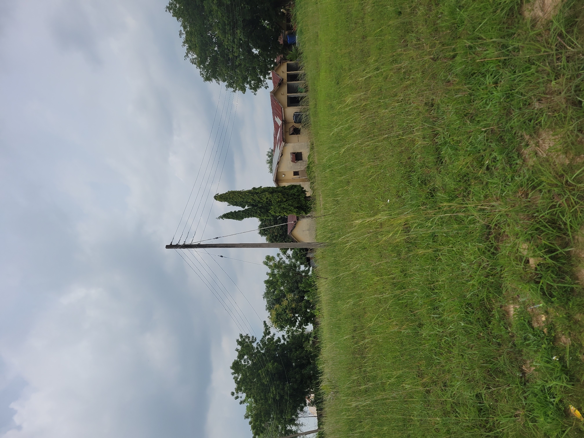 This image captures a cloudy day scene in Keffi, Nigeria, featuring a low-lying building and surrounding vegetation. In the foreground, tall, dry grasses dominate the landscape, suggesting a semi-arid environment or the dry season. A wooden utility pole stands prominently on the right side of the frame, supporting power lines that extend across the scene.
In the mid-ground, a single-story building with a corrugated metal roof is visible. The building appears to be constructed from light-colored materials, possibly concrete or stucco, and has a series of arched openings or pillars on its facade. Some parts of the structure show signs of age or disrepair, with visible weathering on the walls and roof. Adjacent to the building, two tall, slender evergreen trees stand out against the sky.
The background consists of a dense collection of lush green trees, indicating a greener area or perhaps a park or forest on the outskirts of the city. The sky is overcast with heavy gray clouds, casting a diffused light over the entire scene. No people are visible in the image, and the overall impression is one of a quiet, rural or semi-rural setting within Keffi.