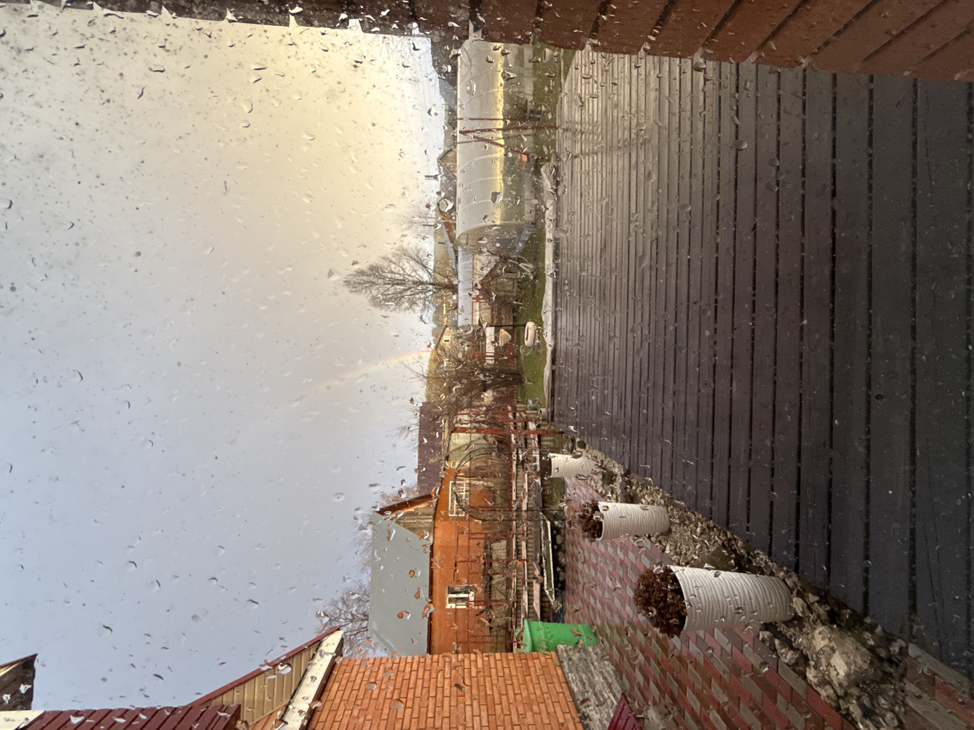 The image presents an outdoor scene viewed through a rain-splattered window or glass surface, indicating recent or ongoing precipitation. The photograph is oriented vertically, but depicts a landscape view that appears to be rotated 90 degrees clockwise.
In the foreground (appearing at the bottom if correctly rotated), parts of a building are visible, including a reddish-brown tiled roof and light-colored wooden siding. To the immediate right, a section of a brick wall features two white, corrugated drainage pipes emerging horizontally from the ground, each filled with what appears to be dried leaves or debris. A dark, vertically paneled wall or fence runs along the far right edge of this foreground section.
The midground showcases a collection of structures under an overcast sky. A prominent reddish-brown building with a grey roof and white-framed windows is visible, surrounded by several bare, leafless trees, suggesting an autumn or winter season. Adjacent to this building, several large, white, tunnel-like structures, possibly greenhouses or covered storage facilities, are arranged. A dirt or unpaved area extends towards these structures.
In the background, a pale, largely overcast sky dominates the upper portion of the scene. A subtle yet discernible rainbow arc is visible on the left side of the sky, indicating that the sun is breaking through lingering rain. A dark, wet street or asphalt path extends vertically along the right side of the frame, appearing slick from the rain.
The scene captures a quiet, post-rain daytime moment in what appears to be a semi-rural or suburban setting, consistent with areas found in Chaikovsky, Russia. No specific human activity or people are visible. The atmosphere conveyed is one of calm and natural beauty following a rain shower. There is no visible text in the image.