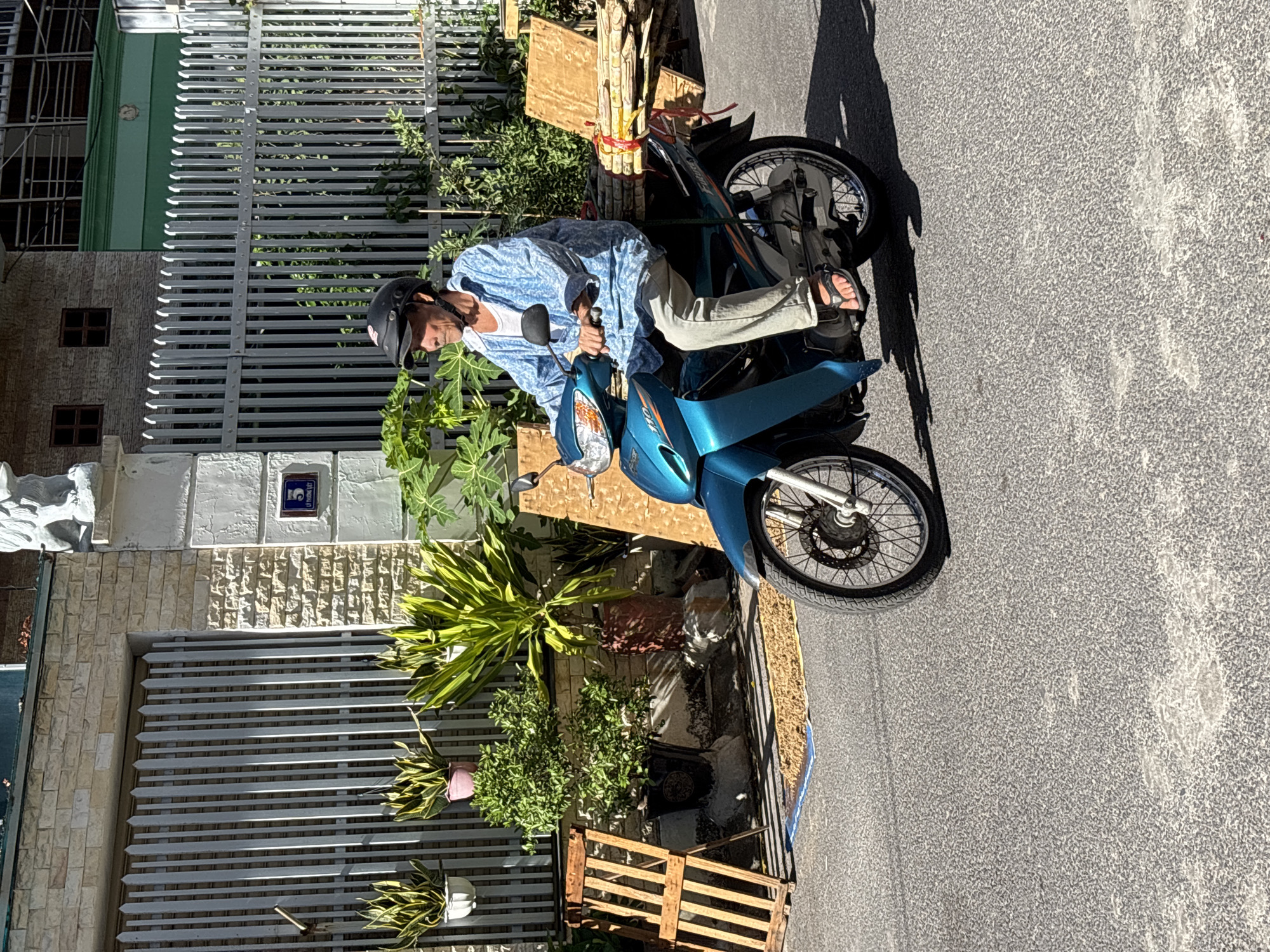 An elderly Vietnamese man wearing a blue patterned shirt, white undershirt, light-colored pants, black helmet, and sandals rides a turquoise scooter on a paved road in Nha Trang, Vietnam. He is carrying a large bundle of sugarcane stalks tied with red string on the back of the scooter. The man is looking to his left. The scooter is a modern model, with visible headlights, mirrors, and a license plate. In the background, there is a beige brick building with a white decorative pillar and a light gray metal fence. Several potted plants, including snake plants and a small tree, are visible in front of the fence. A wooden pallet is leaning against the fence to the left of the man. The ground in front of the fence is covered with a light brown mat, possibly for drying something. The scene is illuminated by bright sunlight, casting shadows on the road.