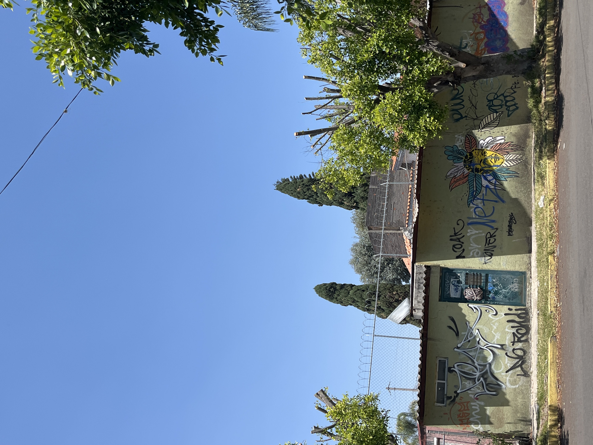 The scene depicts a street in San Bernardino Tlaxcalancingo, Mexico, with a focus on the architecture and surrounding flora. A pale green wall runs along the street, heavily adorned with graffiti. There's a door painted a similar shade of green built into the wall, also covered in graffiti. Above the wall is a chain link fence. Trees are present along the top of the image, partially framing the clear blue sky. Some trees have been trimmed and show bare branches. Adjacent to the wall is a paved street. The overall impression is that of a sunny, urban environment with visible signs of wear and artistic expression.
