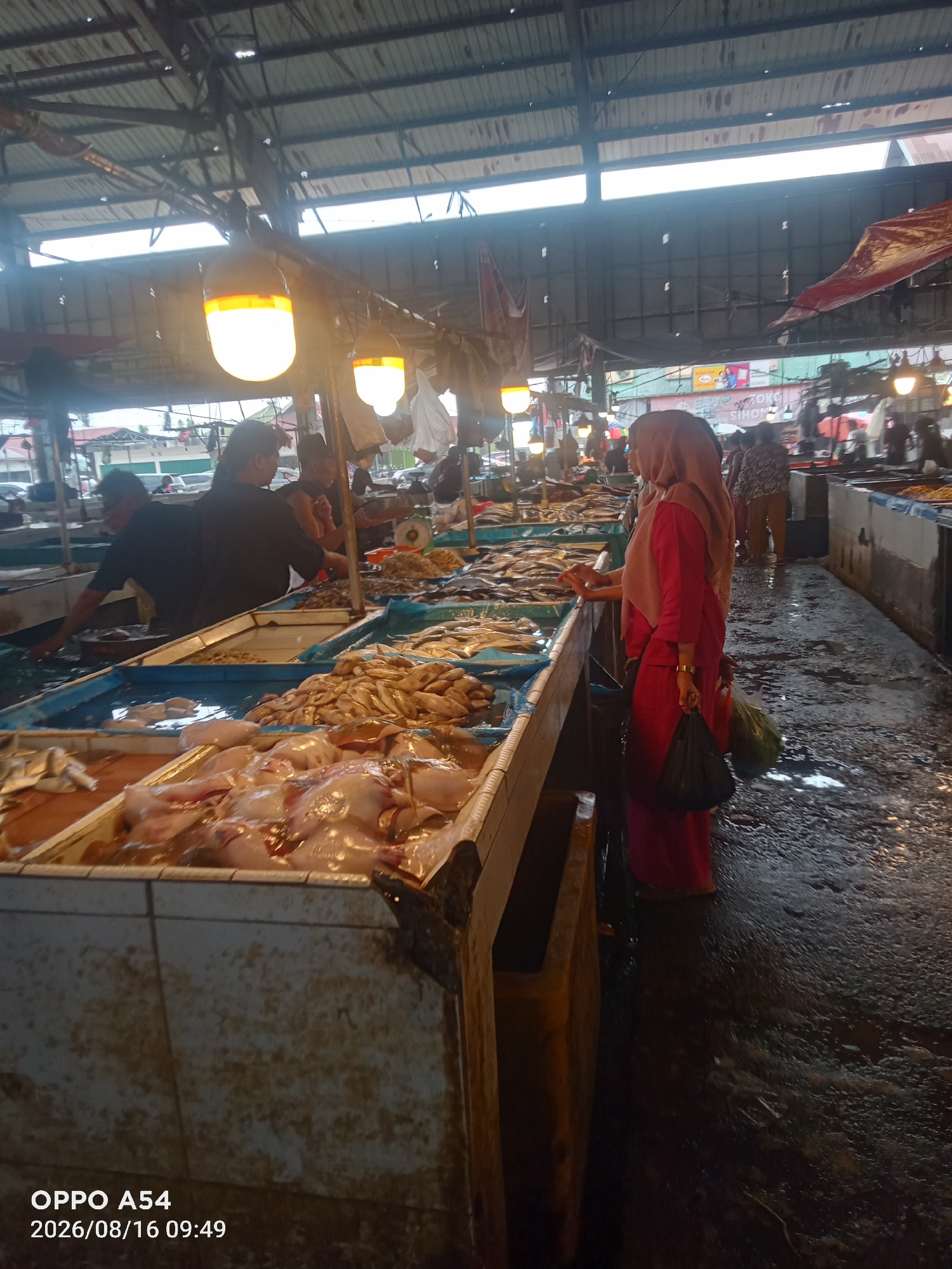 The image depicts an indoor market, likely a fish market, in Jambi, Indonesia. The scene is dimly lit, with overhead lights illuminating the stalls and the wet, reflective floor. Several vendors are visible, tending to their wares, which primarily consist of fresh fish laid out on ice or in water-filled containers.
In the foreground, there are multiple stalls overflowing with various types of fish. Some are whole, while others appear to be filleted. The fish are displayed in large, shallow trays, with some resting on ice. The wet environment suggests that the market is in active operation, with water used for cleaning and preserving the fish.
Several individuals are present in the market. On the right side of the image, a woman wearing a pink hijab and a bright pink outfit is seen looking at the fish. She is holding a black plastic bag. To her left, another woman in a patterned top is also present. In the mid-ground, men are seen attending to the stalls, possibly weighing or preparing fish for customers.
The market structure appears to be covered by a corrugated metal roof, with exposed beams and rafters. Tarps and red fabric are also visible, suggesting improvised coverings or decorations. The overall impression is that of a bustling, traditional marketplace. The timestamp on the image indicates it was taken on August 16, 2026, at 09:49 AM.