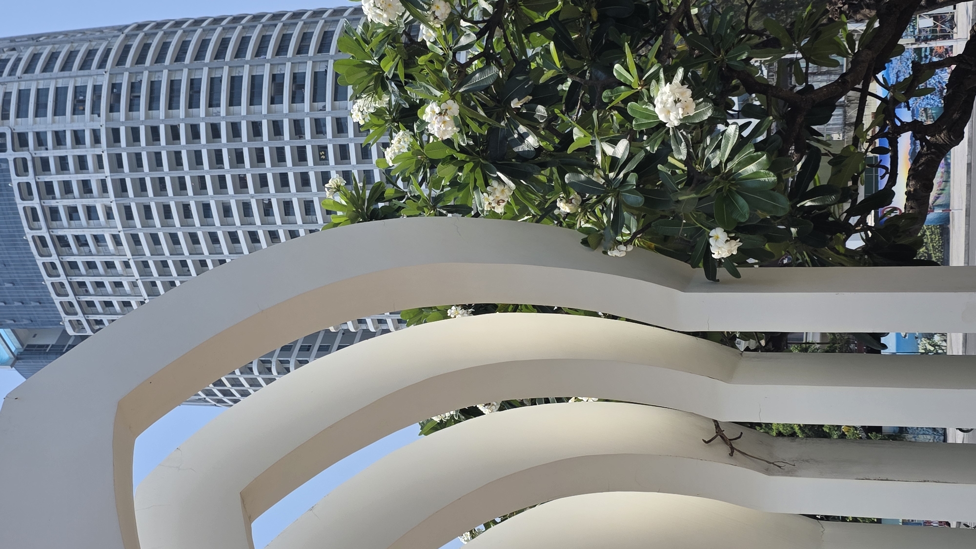 The image shows a view in Nha Trang, Vietnam. In the foreground are white, curved architectural elements, possibly part of a public structure or art installation. Through the arches of these elements, there's a leafy tree with white flowers. Behind the tree and the curved elements, a tall, modern building with a grid-like facade dominates the scene. The sky is visible in the spaces between the architectural elements and the building. There are no people visible.
