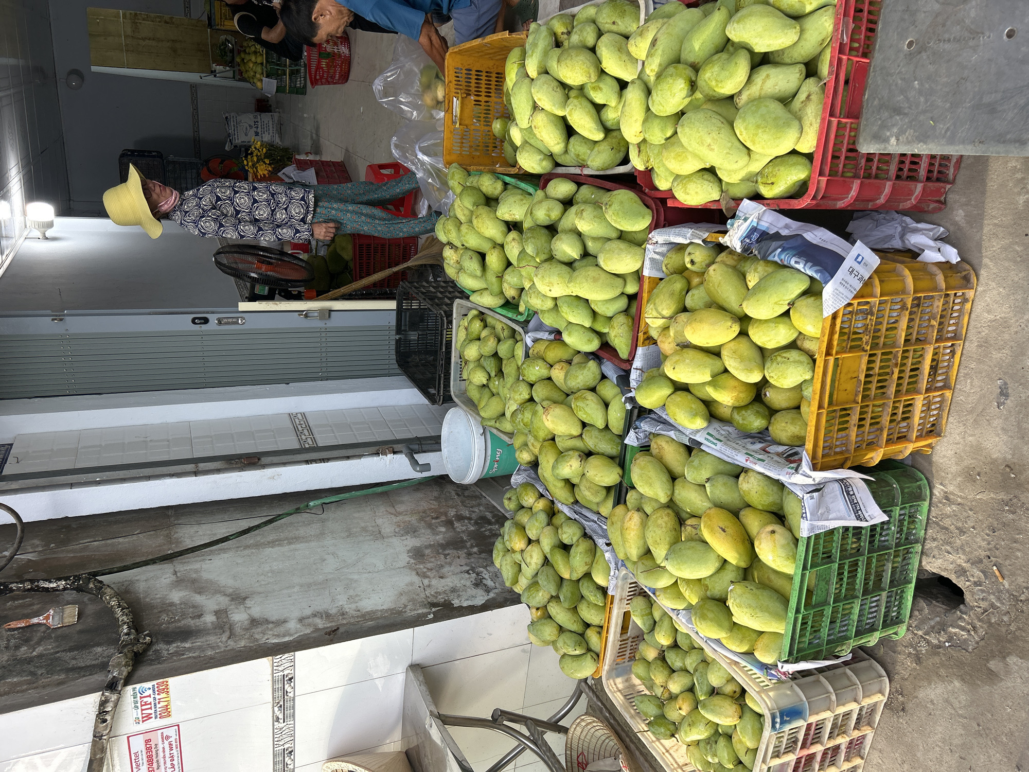 The image depicts a street-side market in An Hữu, Vietnam, with a focus on a vibrant display of mangoes. Several crates are overflowing with green mangoes, arranged for sale on a paved surface. In the background, a woman wearing a yellow hat and a patterned shirt stands near a fan and a pile of what appear to be durian fruits. Two men are visible further in the background, one tending to the fruit stall and another sitting. The overall scene suggests a bustling local market environment.