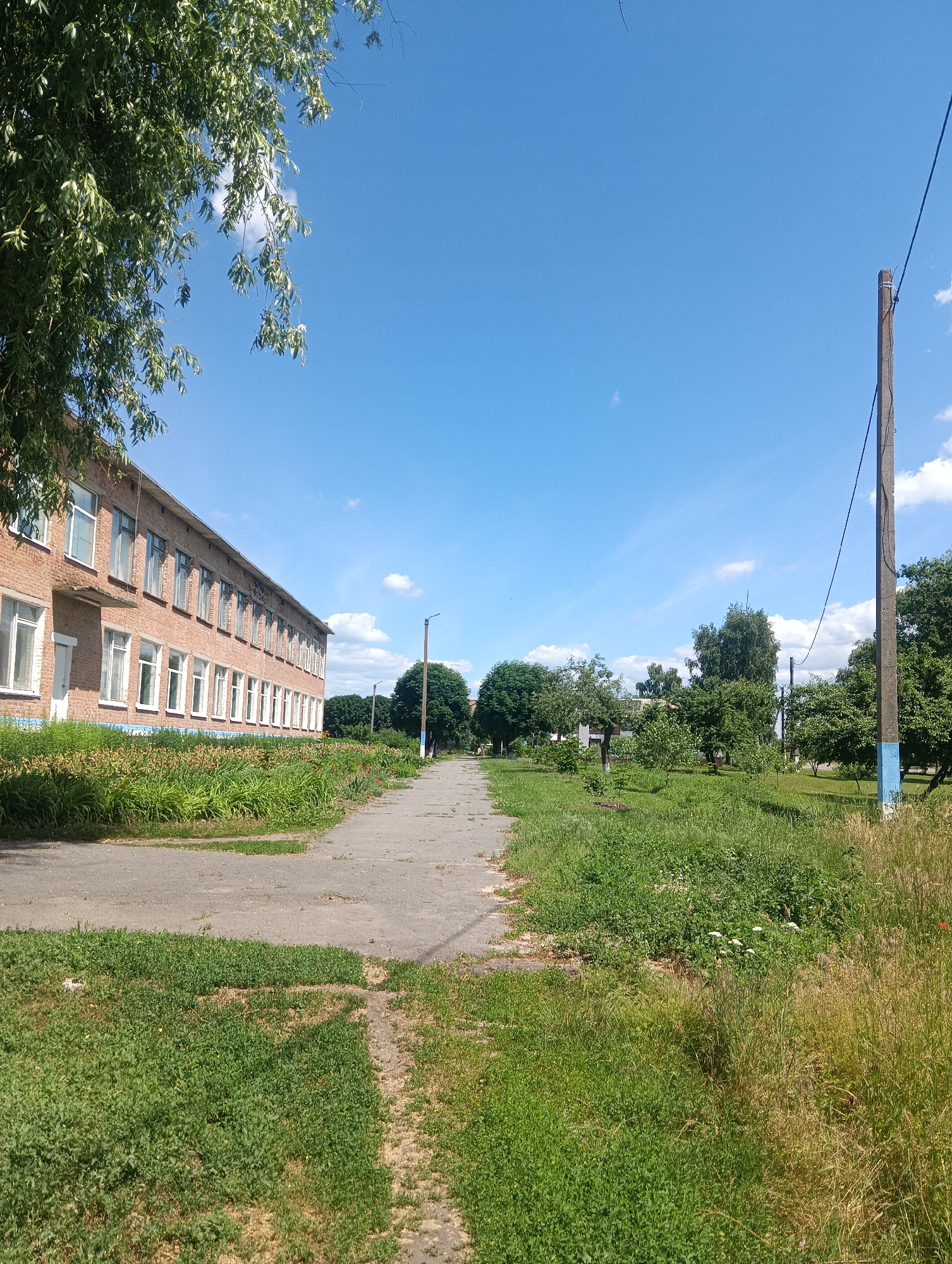 A long, narrow, paved pathway leads through a grassy area next to a brick building. The building, on the left side of the image, is a two-story structure with numerous windows and is partially obscured by the leaves of a large tree. The pathway extends into the distance, where it is flanked by trees and other vegetation. A utility pole with wires is visible on the right side of the pathway. The sky is clear blue with scattered white clouds. The scene appears to be a public space or a schoolyard in a rural or suburban area.