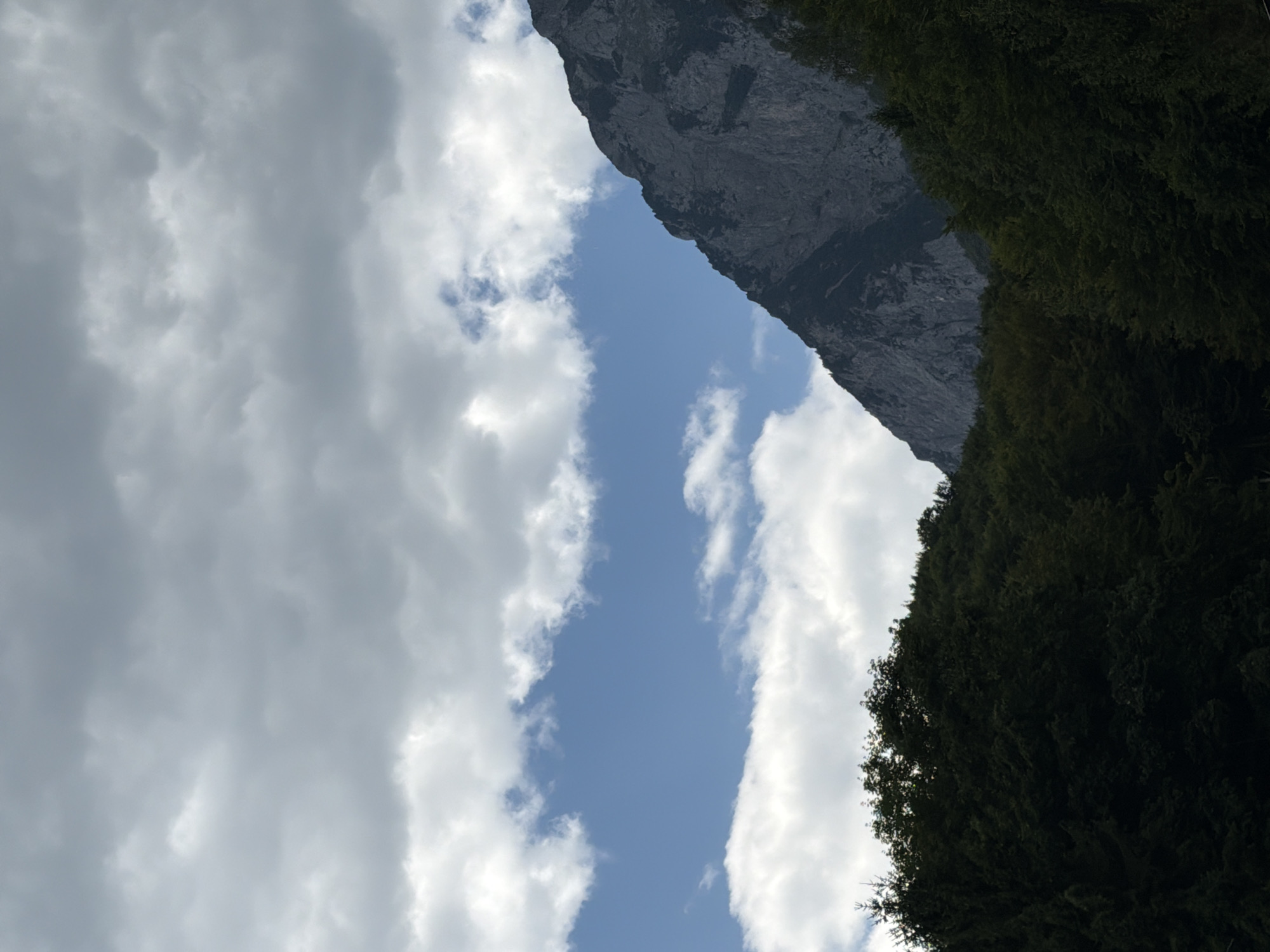 The image depicts a mountain range partially obscured by dark green trees in the foreground. A steep, rocky mountainside with patches of dark vegetation rises in the background. The sky is a mix of gray clouds and patches of blue sky with white clouds. The scene appears to be a natural landscape.