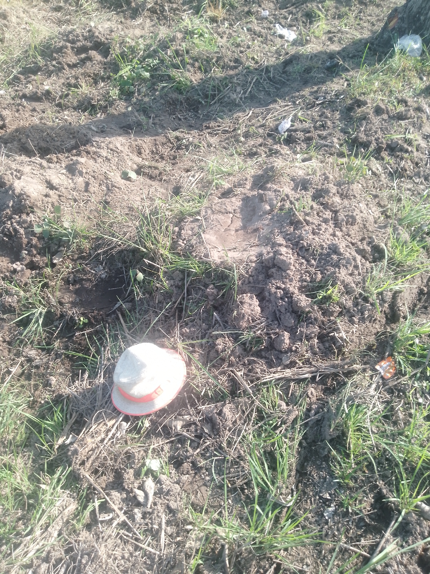 The image shows a close-up view of a patch of disturbed earth, likely an area where something has been dug up or buried. A small, light-colored hat with an orange band lies on the ground in the lower left quadrant of the image. The ground is a mixture of dry soil, straw, and green grass. There are small depressions and mounds of dirt, suggesting recent activity. In the background, some white debris, possibly trash, is visible amongst the vegetation. The scene appears to be an outdoor environment, possibly a field or undeveloped land. The image does not provide any explicit clues to its specific location within Serti, Nigeria, beyond it being an outdoor, rural or semi-rural area.
