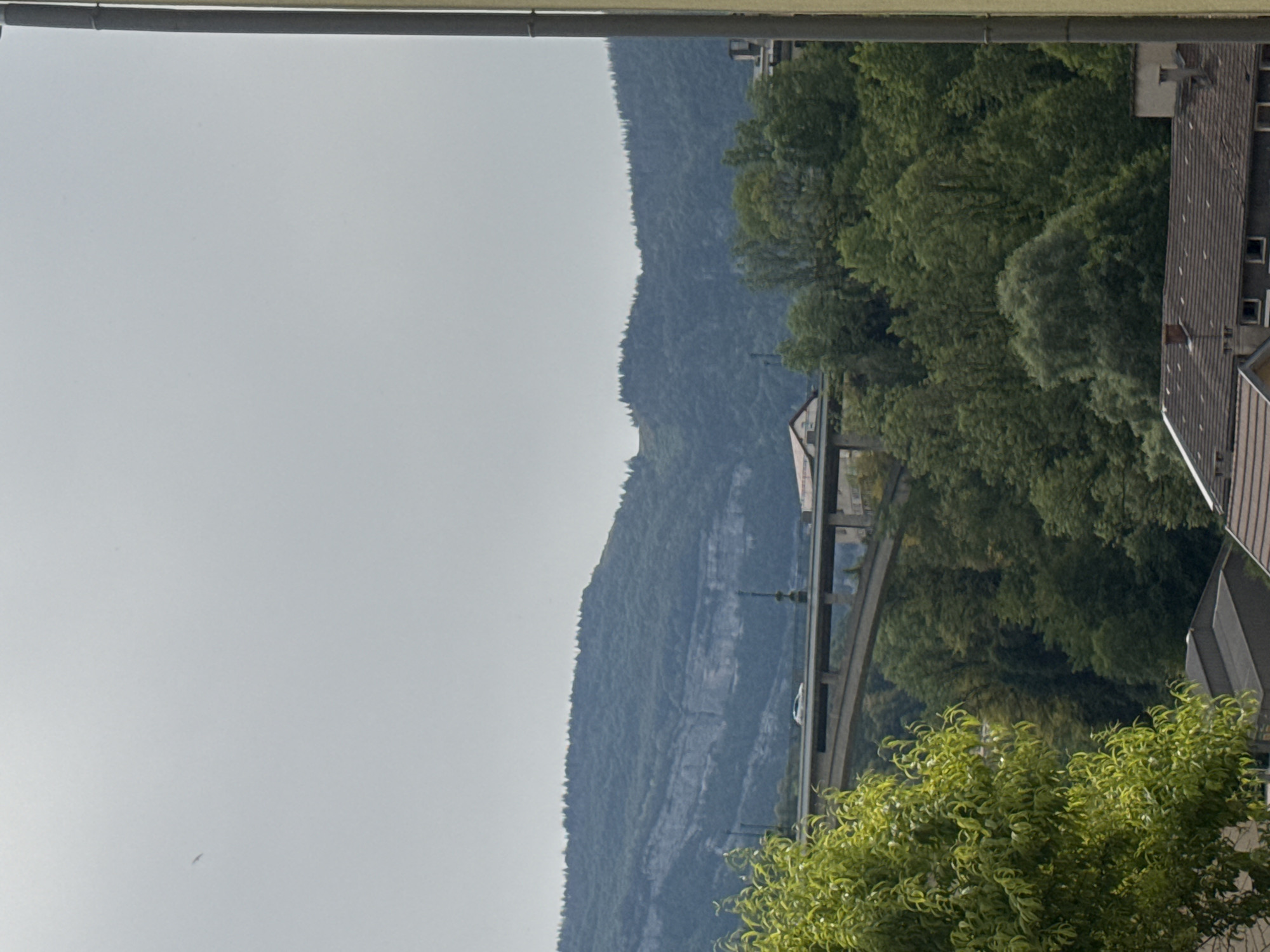 The image depicts a wide view of a forested mountainous region with a bridge spanning across a valley. A light-colored car is visible driving across the bridge. In the foreground, a leafy tree with vibrant green foliage is prominent on the left side of the frame. The background shows a layered mountain range covered in dense green trees, with a distinct rock face visible on the upper portion of the mountains. Partially visible buildings with pitched roofs are present at the bottom of the image, suggesting a human settlement in proximity to the natural landscape. The sky is overcast and light gray. The overall scene suggests a location in or near Saint-Claude, France, characterized by its natural topography and infrastructure.