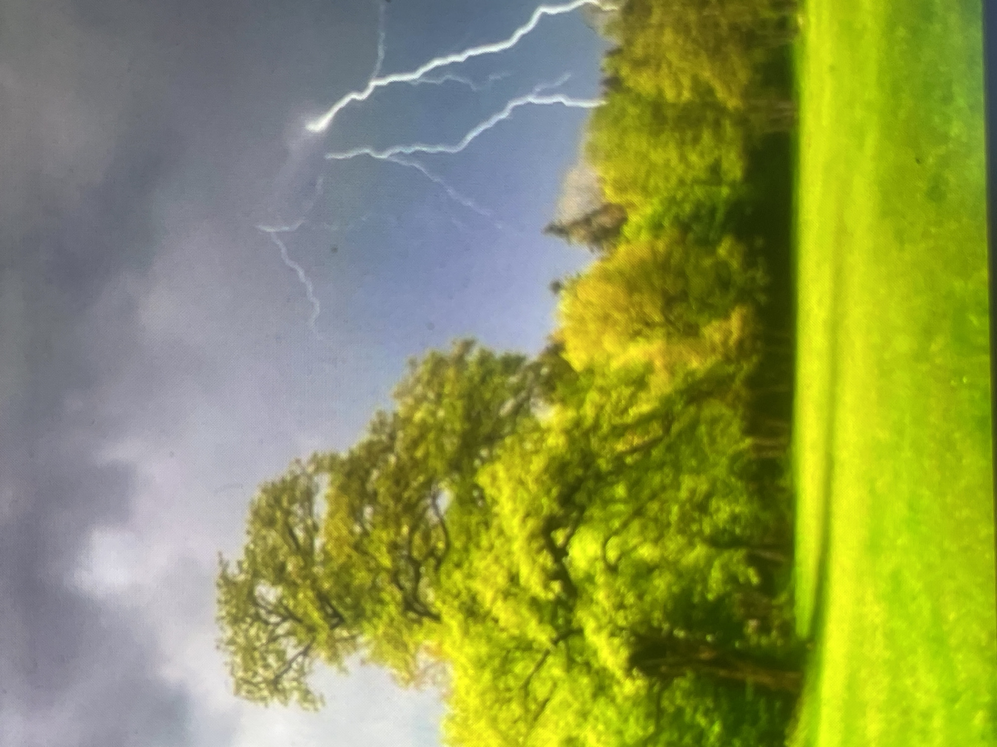The scene, identified as being in Zelenyi Hai, Ukraine, depicts a natural landscape under stormy conditions. The foreground presents an expansive, bright green grassy field. In the midground and background, a dense arrangement of deciduous trees with vibrant green and yellowish-green foliage is present, with a prominent, large-canopied tree situated on the left. The sky is heavily overcast with dark grey clouds. Multiple distinct, white lightning bolts are visible in the upper right quadrant, indicating an active electrical storm. No people, animals, or artificial structures are discernible within the frame.
