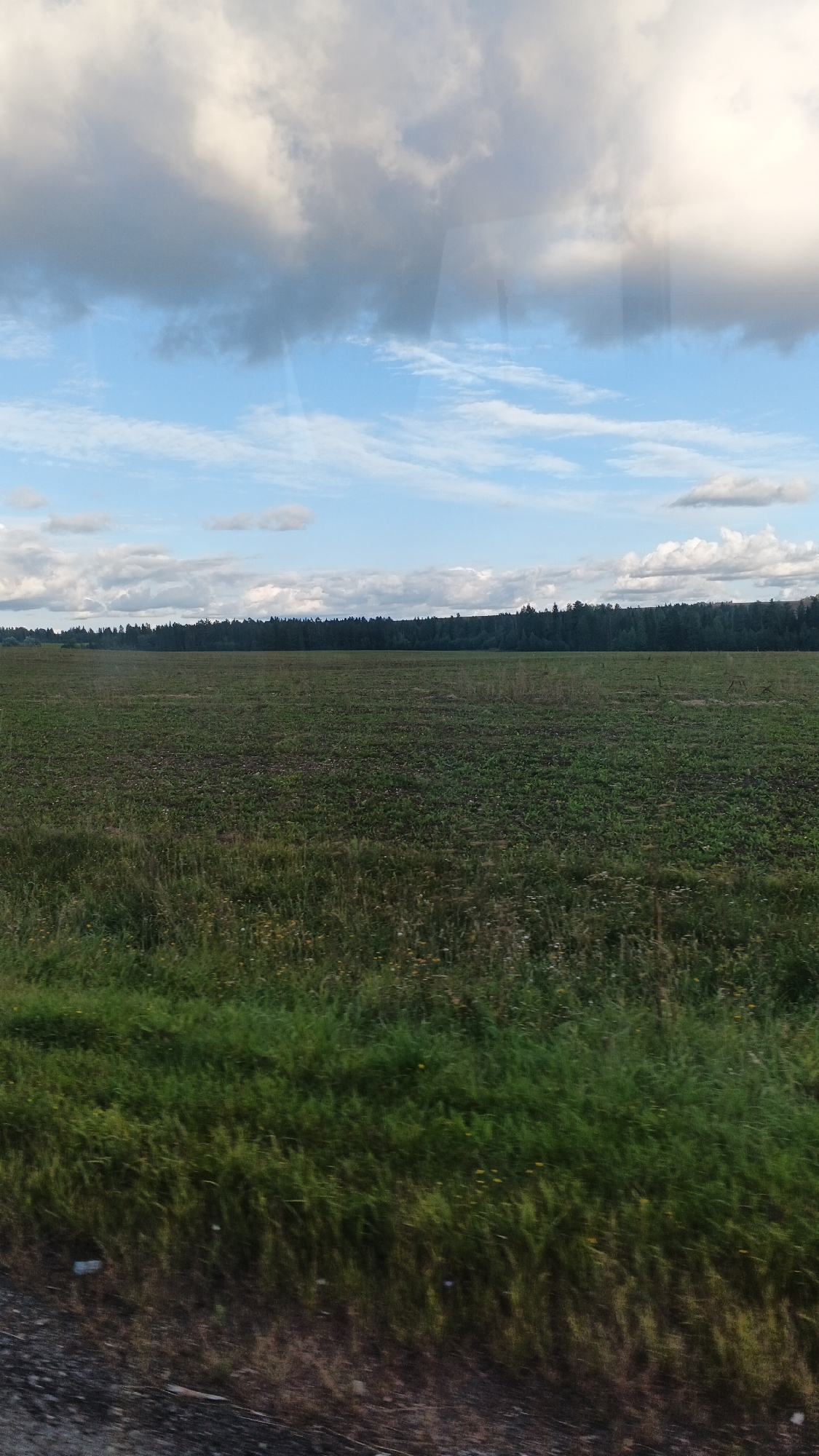 The image shows a wide, open field of green vegetation stretching to a dense line of dark green trees in the distance. Above the field, the sky is a mix of bright blue with scattered white and gray clouds. The foreground features a strip of rough, gray ground, possibly a road or path, with overgrown green grass and some small yellow wildflowers. The overall scene is natural and appears to be in a rural or undeveloped area. There are no people or specific structures visible to indicate a precise location within Buranovo, Russia, but the landscape suggests a countryside setting.