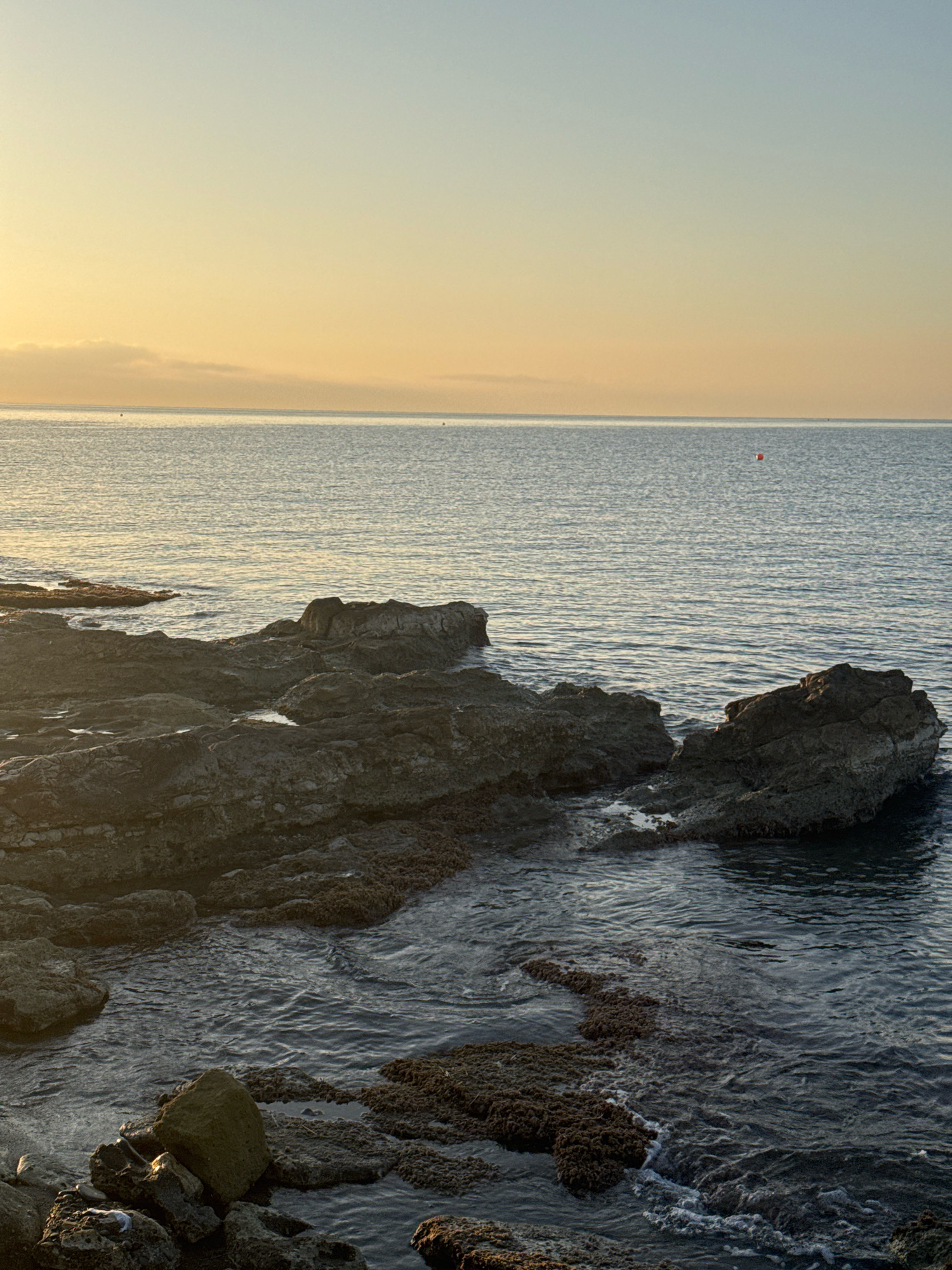 A vertical shot captures a calm, slightly choppy sea with a rocky shoreline in the foreground. The sky transitions from a pale blue at the top to a warm, hazy yellow near the horizon. A small, red buoy is visible in the distance on the water. The rocks are dark and appear wet, with some patches of seaweed. The overall impression is one of a serene coastal scene, likely taken at sunrise or sunset.