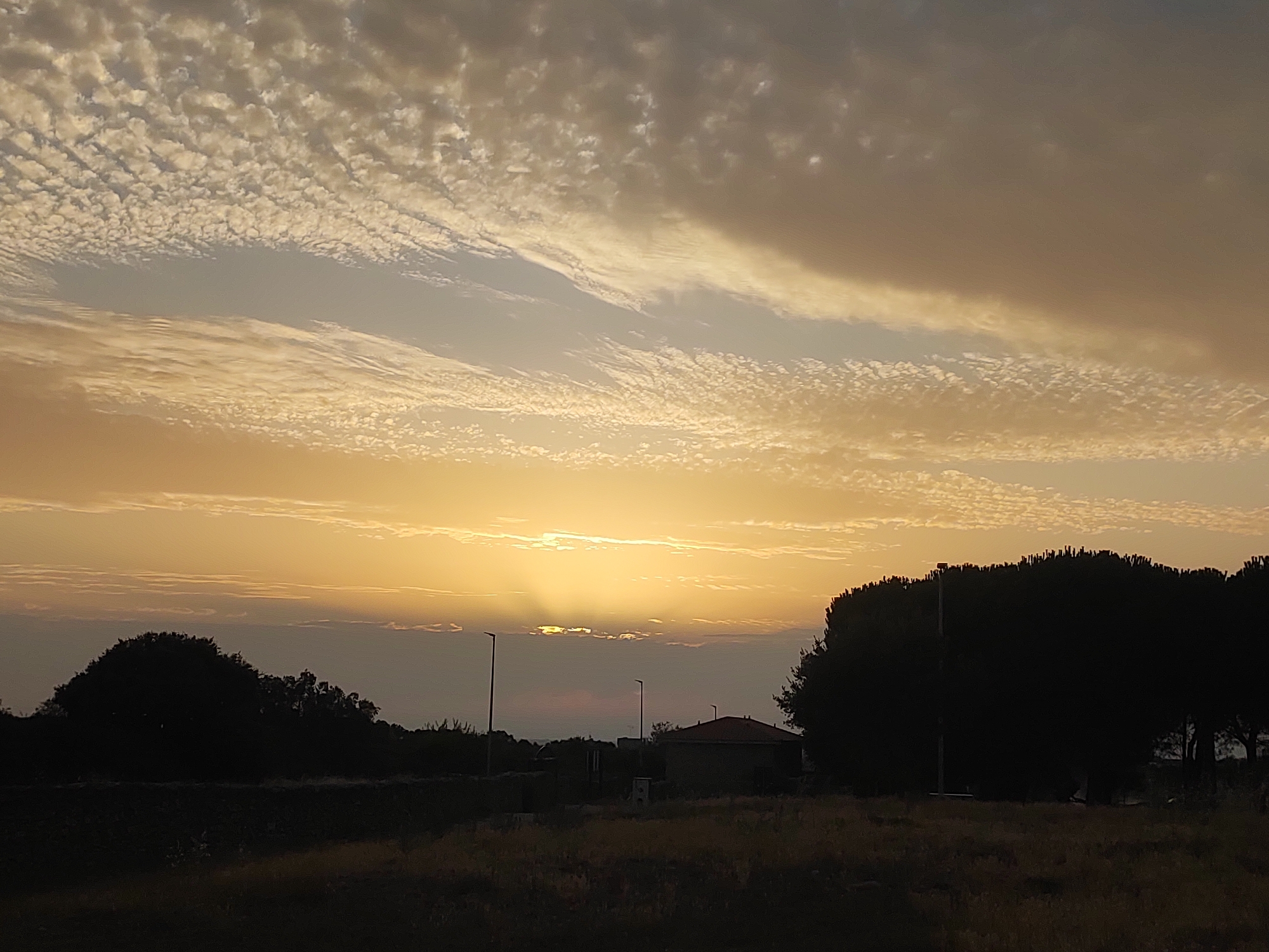 The image depicts a landscape scene at sunset in Sobradillo, Spain. The sky is filled with a gradient of warm colors, transitioning from a bright yellow-orange near the horizon to lighter yellows and whites higher up. Wispy, textured clouds are scattered across the sky, with some appearing more solid and others like fine brushstrokes. The sun is partially obscured by a band of clouds near the horizon, casting rays of light downwards.
In the foreground, a silhouetted landscape unfolds. On the left, a large, dark mass of trees stands prominently, its rounded shape creating a strong outline against the sky. To the right of the trees, a small building with a red-tiled roof is visible, also in silhouette. There are at least two lampposts present, one taller and more distinct on the left, and another shorter one near the building. The ground in the foreground appears to be covered in dry grass and vegetation, rendered in dark tones due to the low light. The overall impression is of a rural or semi-rural environment at the end of the day, with the natural beauty of the sky being a primary focus.