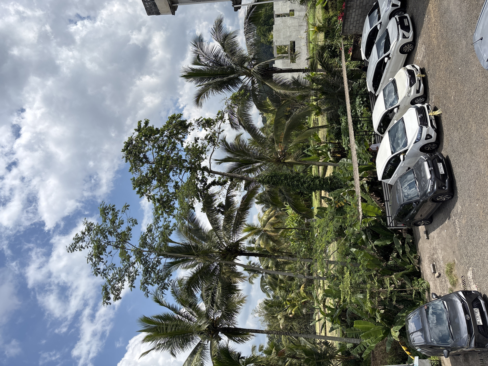 The image shows a scene in Tegallalang, Indonesia. Several palm trees are visible against a cloudy sky. Lush green vegetation fills the middle ground. A row of parked cars, mostly white, lines the edge of a paved area. An unfinished building is partially visible in the background.
