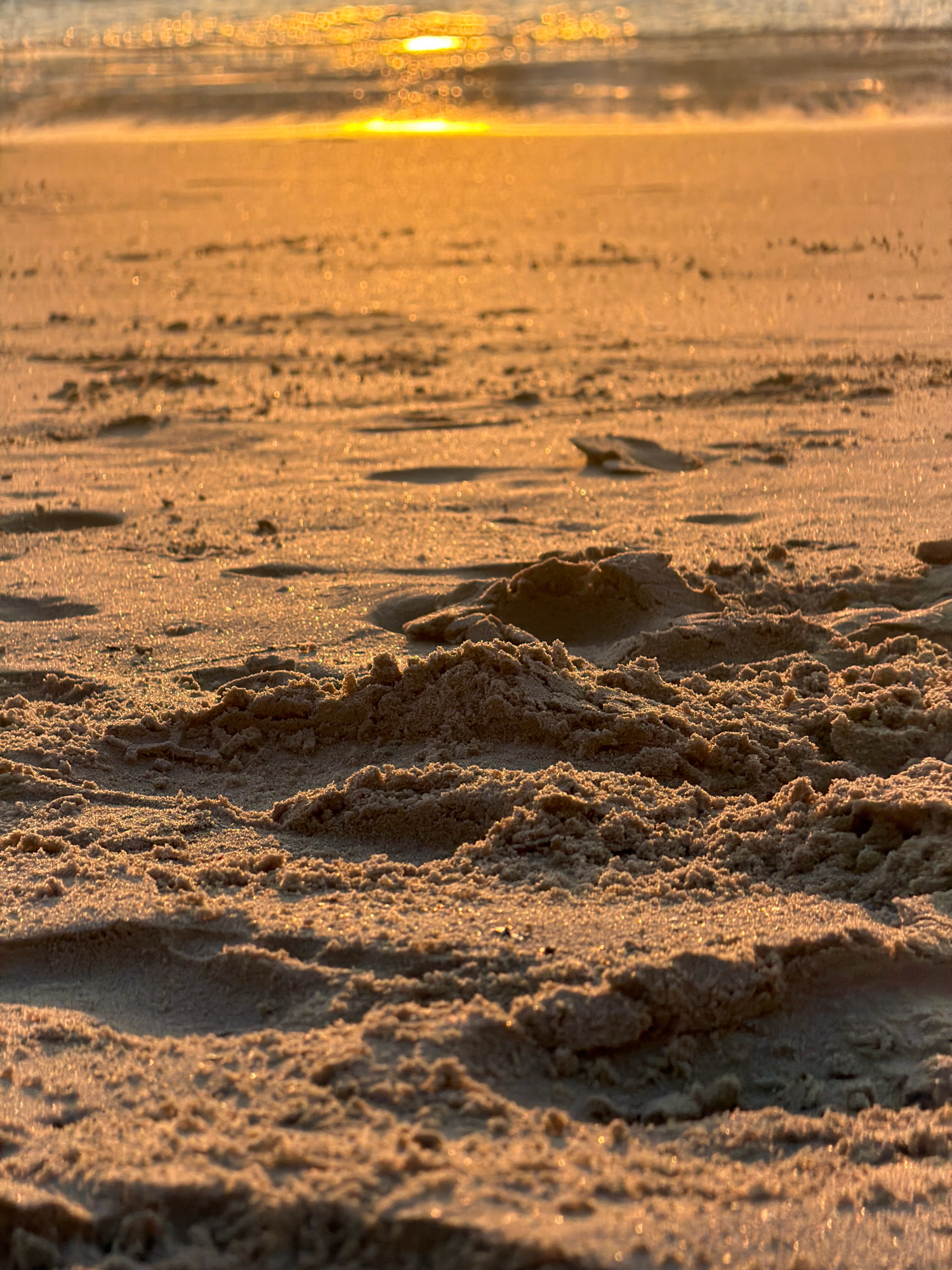 The image depicts a close-up, low-angle view of wet sand on a beach. The sand in the foreground is textured with ripples and small mounds, reflecting the warm, golden light of a setting sun. The sunlight also illuminates small, sparkling particles within the sand. In the background, the ocean meets the shore, with the sun's glare creating a bright, shimmering effect on the water's surface and a gentle wave breaking. The overall scene is serene and captures the natural beauty of a beach at dusk, with no people or man-made objects visible. The scene is consistent with the beaches found along the coast of Tel-Aviv, Israel, particularly given the warm, Mediterranean light.