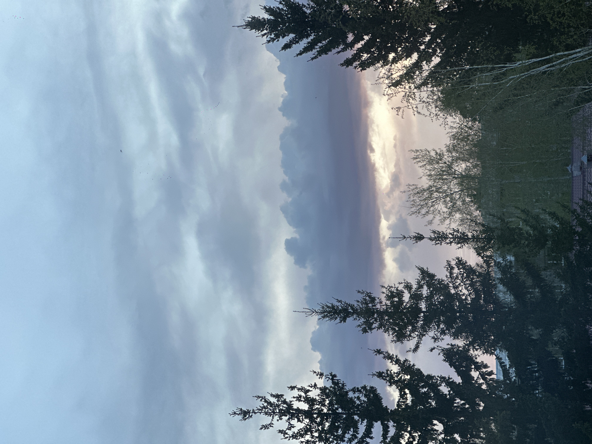 The image shows a view of the sky framed by trees, likely taken in Sayansk, Russia, based on provided context. The sky features a cloudy formation, with light peeking through in the center, suggesting either sunrise or sunset. The clouds range in color from a light gray to a dark blue-gray. Trees are silhouetted in the foreground, partially obscuring the sky. There's a hint of buildings or rooftops visible on the right side of the frame, further suggesting an urban or suburban environment. A small flock of birds is seen in the sky.