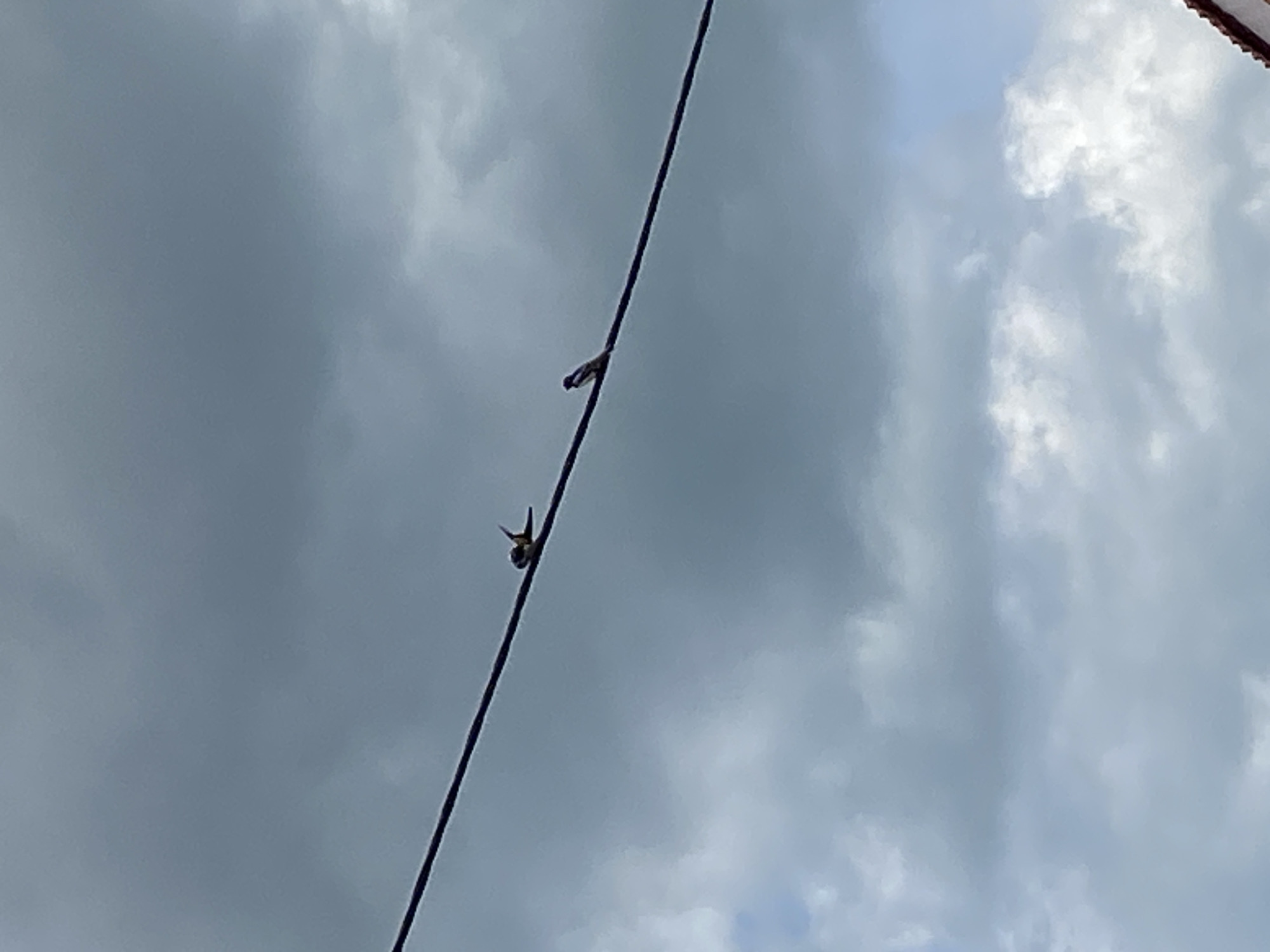 Two small birds are perched on a dark wire against a cloudy sky. The bird on the left is facing to the right, with its wings slightly spread. The bird on the right is facing to the left. The wire runs diagonally across the frame from the bottom left to the top right. The sky is filled with gray clouds.