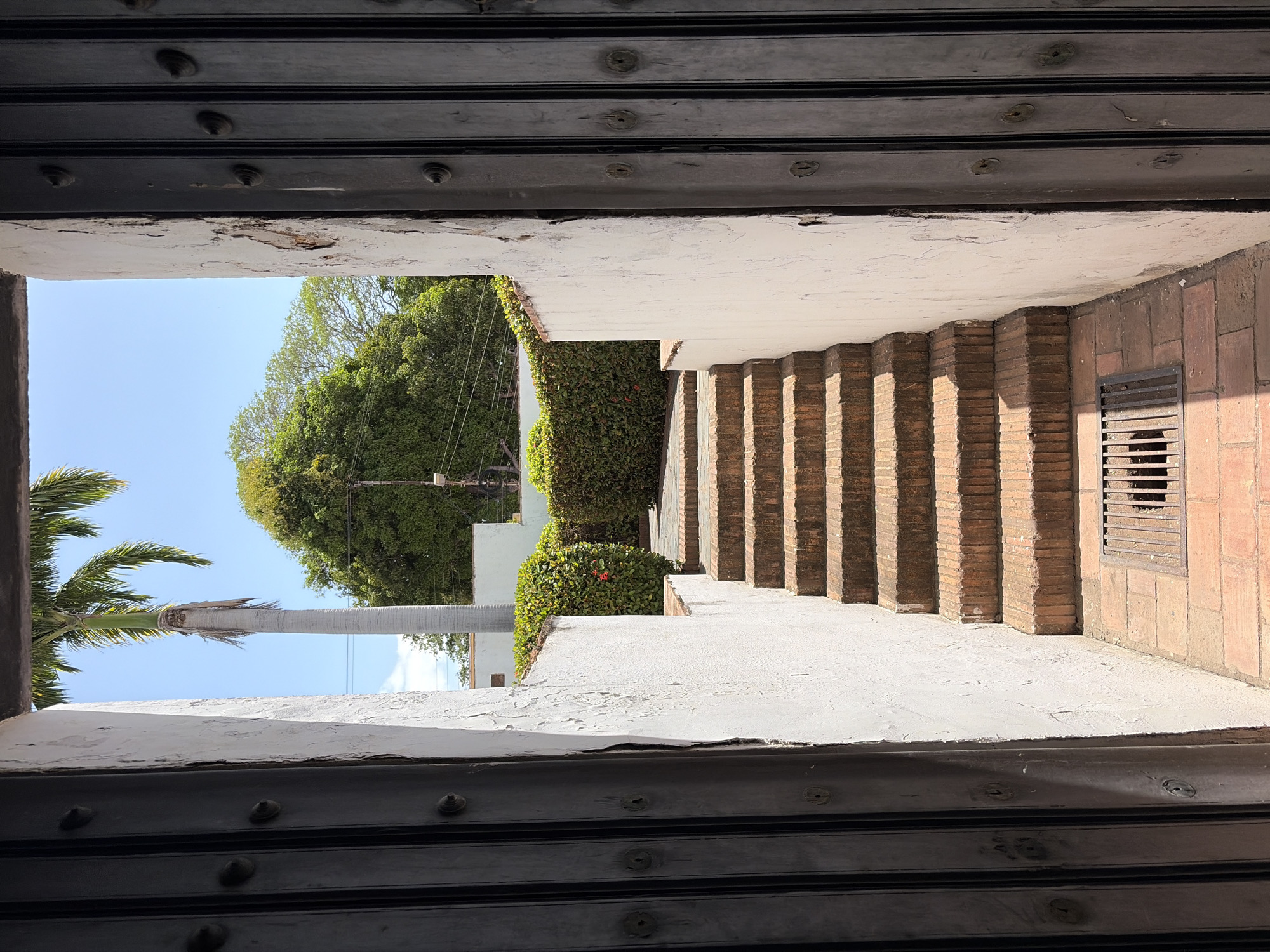The image depicts a view framed by what appears to be a partially open metal gate or shutter, with horizontal slats secured by rivets. The scene beyond shows a sunny outdoor space. To the left, a palm tree is visible against a clear blue sky. Directly ahead, dense green foliage obscures some structures. To the right, a series of brick steps ascend alongside a white wall, and a grated vent is set into the brickwork at the top of the stairs. The scene, while not explicitly confirming the location, has potential cues for further forensic analysis, such as specific tree types, architectural styles, and gate construction materials common in Ciudad Bolivar, Venezuela. However, based solely on the image, no concrete confirmation of the location exists.