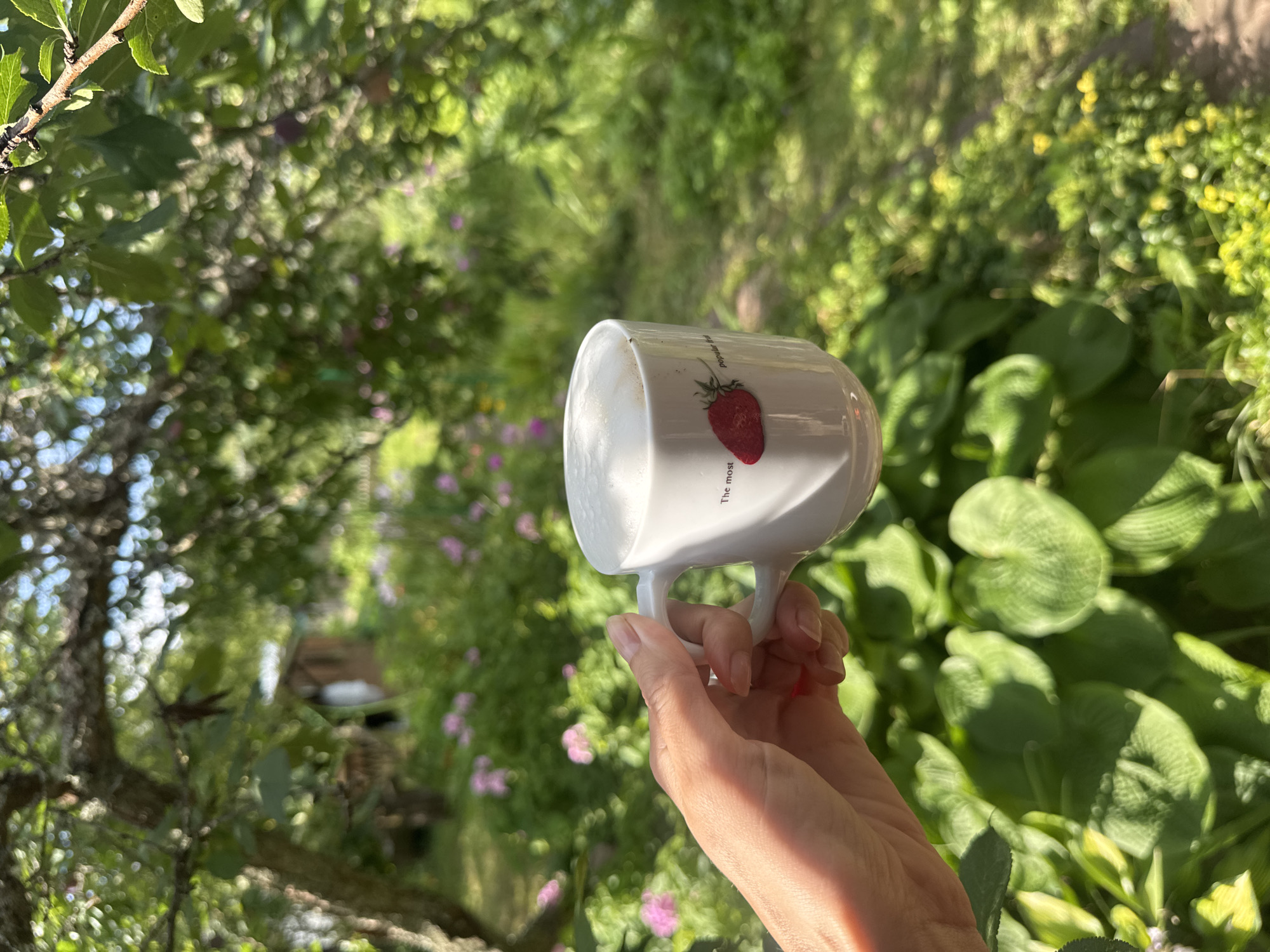 A hand holds a white ceramic mug filled with a frothy beverage outdoors, against a blurred background of lush greenery. The mug is adorned with a red strawberry illustration and text that reads "The most popular fru". Sunlight illuminates the scene, casting a warm glow on the hand and the foliage. The location is identified as Krasnaya Presnya SNT, Russia.