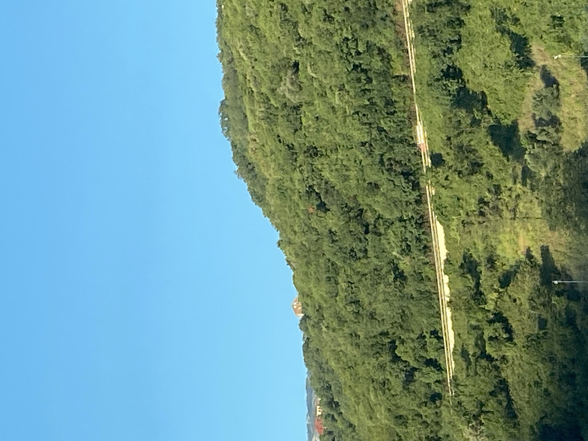 A verdant, tree-covered hillside dominates the frame under a clear blue sky. A yellow-lined road snakes across the hillside, with what appears to be a small, light-colored vehicle on it, moving from left to right. In the distance, on the crest of the hill, are two buildings. The one on the left is red-roofed, and the one on the right is a light-colored building with a darker roof. The lower portion of the image shows more trees and vegetation, with a street light visible on the right side.