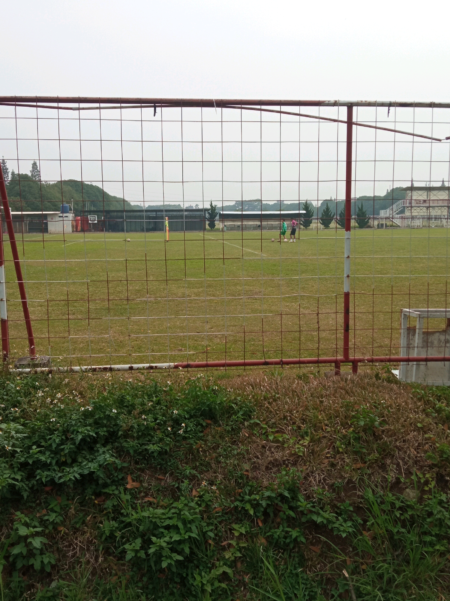 An outdoor, eye-level, medium shot captures a grassy sports field through a wire fence. The field is marked with white lines and has several players scattered across it. Two individuals, one wearing a green shirt and the other a pink shirt, are visible in the middle ground, appearing to be engaged in some form of activity with a ball. In the background, trees and buildings are discernible under an overcast sky. The foreground is occupied by dense, green vegetation and dry grass. The image does not provide specific landmarks or clues to pinpoint its exact location within Bandung City, Indonesia.