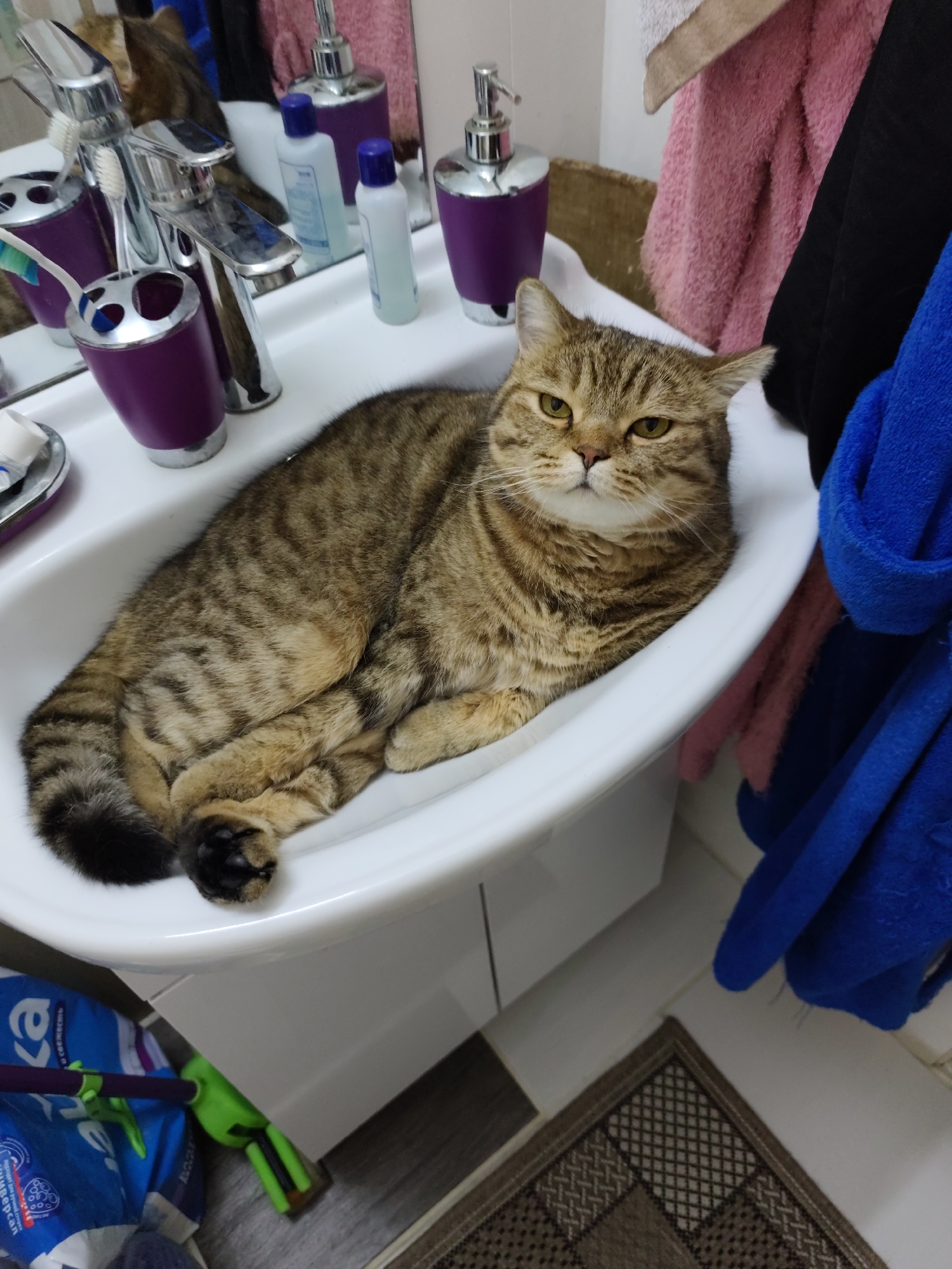 A tabby cat is resting in a white sink, its body curled to fit the contours of the basin. The cat has prominent tabby markings on its fur and its eyes are a striking yellow. In the background, a bathroom sink area is visible with a faucet, toothbrush holder with toothbrushes, and various bottles, including soap dispensers. Towels of pink and blue are hanging on the right side of the image. Below the sink, cleaning supplies and a broom are visible on the floor. The scene is indoors, likely in a bathroom. There is no discernible information in the image that would allow for a precise location within the city of Komsomolsk-on-Amur, Russia.