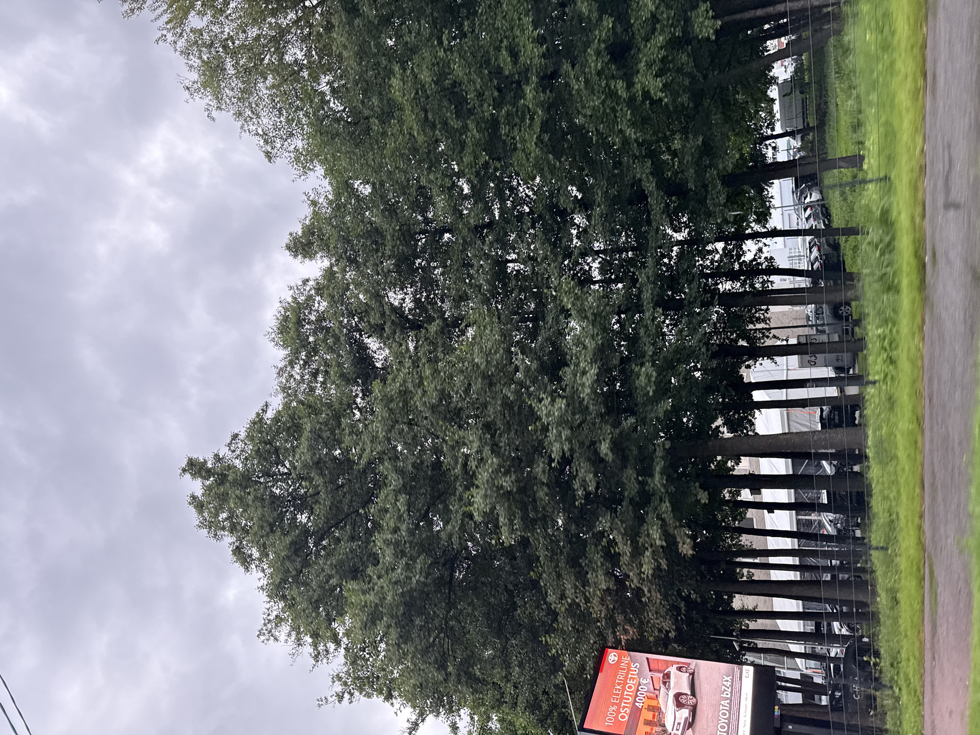 The image shows a street scene in Tallinn, Estonia, with a dense line of trees partially obscuring a car dealership. A large billboard advertising a "100% ELECTRIC PURCHASE SUPPORT 4000€" and featuring a white Toyota bZ4X is visible on the left. Beyond the trees and a wire fence, several cars are parked in rows. The sky is overcast.