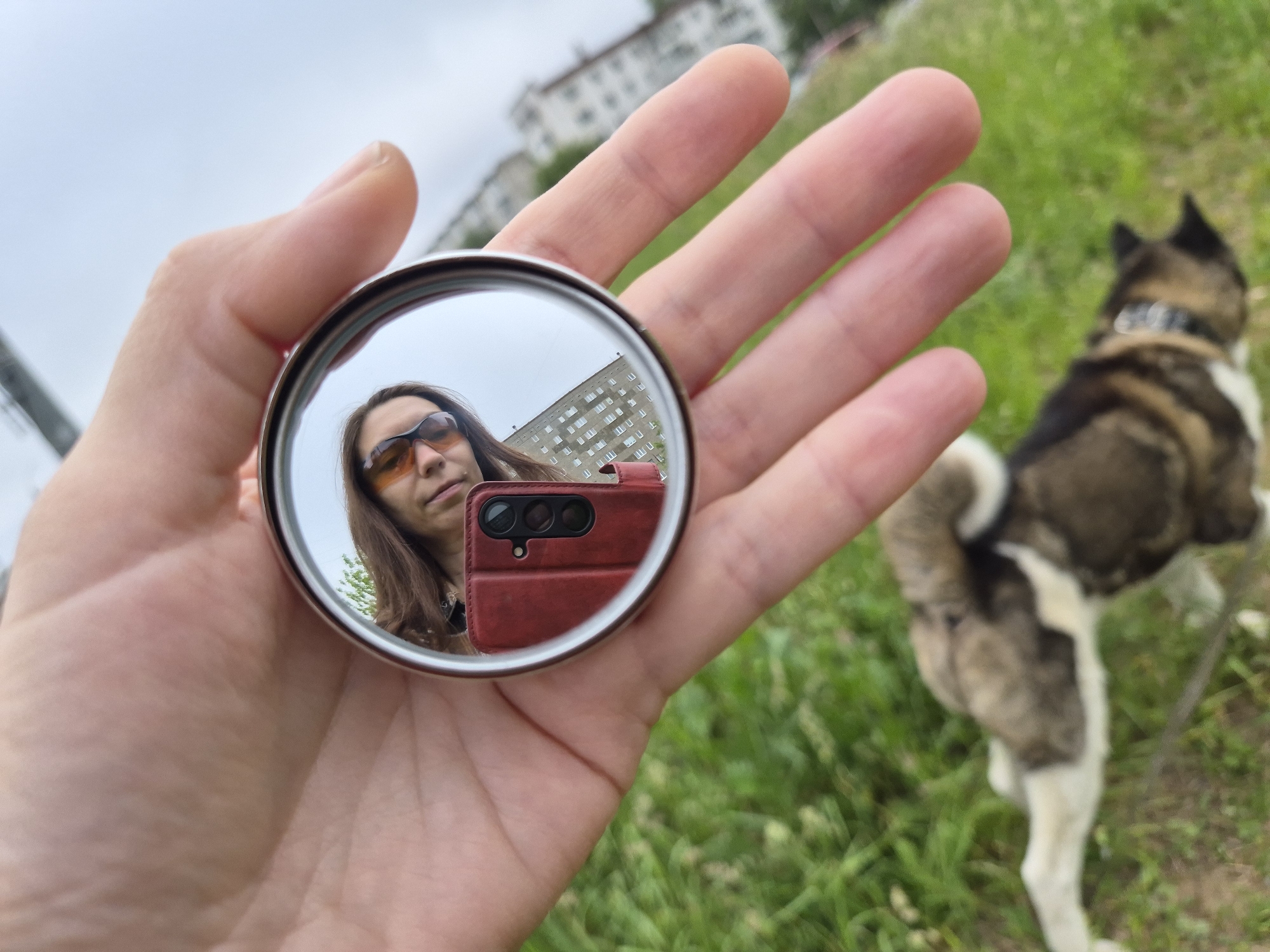In the foreground, a hand is holding a circular mirror, reflecting the image of a person wearing sunglasses and holding a red cell phone. The reflection also shows a building in the background. The hand is positioned over a dog lying on green grass. In the background, out of focus, is a building with multiple windows, consistent with urban architecture. The overall environment suggests an outdoor setting, possibly a park or a yard in the city of Chaikovsky, Russia, given the architectural style of the building.