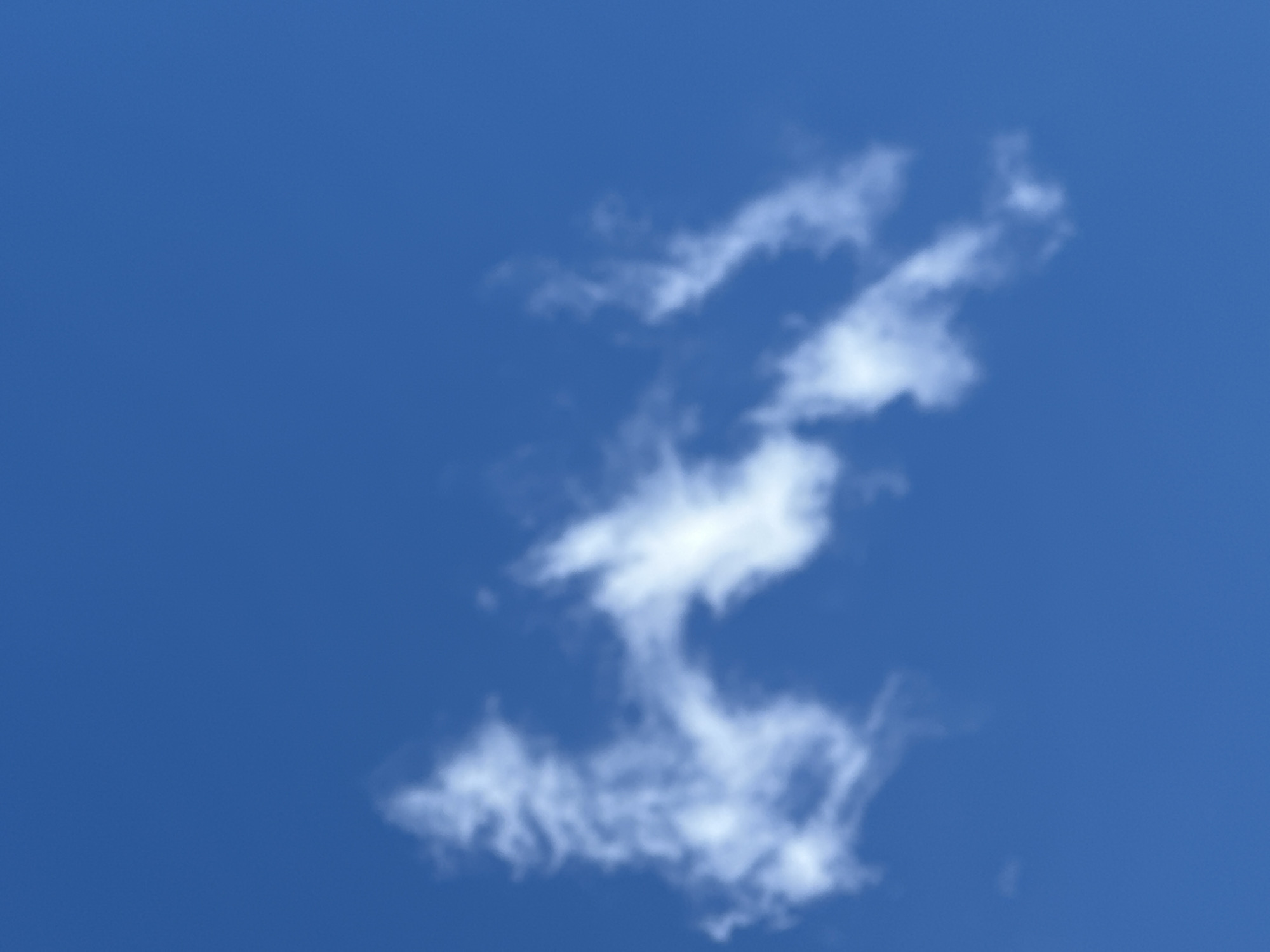 A single, wispy cloud drifts across a clear, deep blue sky. The cloud is white and appears to be composed of delicate strands, suggesting a light and airy texture. Its shape is somewhat amorphous and elongated, resembling a wispy brushstroke against the vast expanse of the sky. The lighting suggests it is daytime, likely mid-morning or afternoon, given the brightness of the blue and the definition of the cloud. There are no discernible objects, people, or structures in the frame, focusing the viewer's attention solely on the natural atmospheric element. The overall impression is one of tranquility and open space. The location context of Luhansk, Ukraine, places this scene in Eastern Europe. No text is visible.