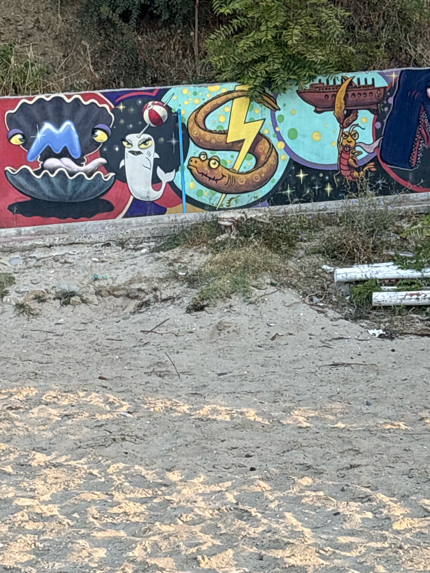 The image displays a section of a graffiti-covered wall, likely located outdoors in Sveti Vlas, Bulgaria. The graffiti features a variety of cartoonish sea creatures and objects. On the left, a large, black, open clam shell encloses a blue, stylized "M" shape with white highlights, flanked by two yellow-eyed figures. To the right of the clam is a white narwhal with sharp teeth and angry eyes, balancing a red and white striped ball on its tusk. Further to the right, a brown, serpentine creature with a smiling face and sharp teeth is depicted, superimposed over a yellow lightning bolt symbol on a turquoise background with scattered yellow dots. In the center-right, a small, red shrimp-like creature is shown holding a brown ship with a tall mast. To the far right, the mouth of a large, dark blue shark with sharp white teeth is visible. The wall is situated on what appears to be a beach or sandy area, with a concrete curb running along the bottom of the wall. The ground in front of the wall is sandy and strewn with dry grass and some white pipes. Vegetation, including trees and bushes, grows behind the wall. The overall scene suggests a public outdoor space decorated with vibrant, whimsical street art.